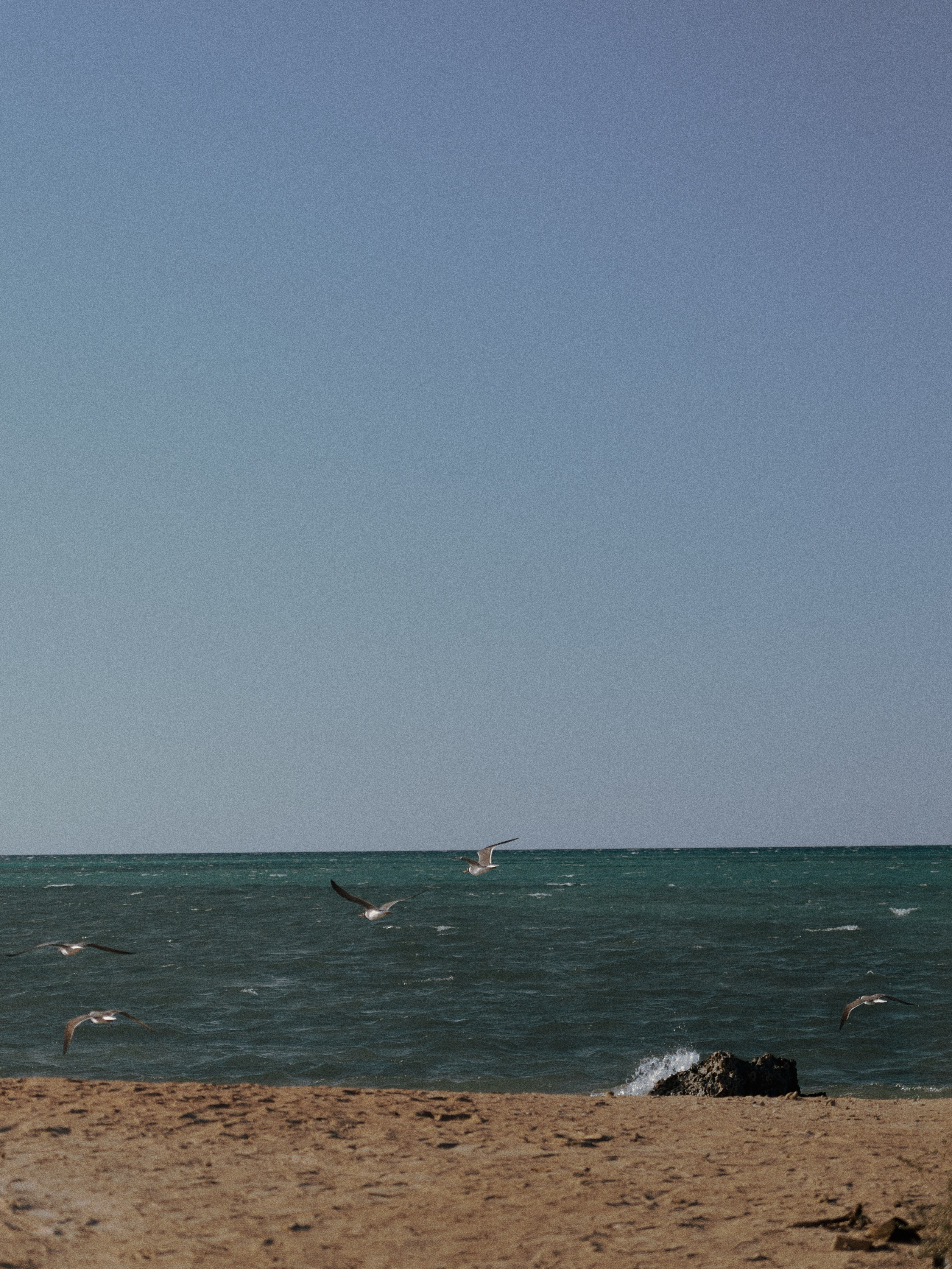 Природа. Jorgis Talè — photographer, kind person, teacher of arts and other mag