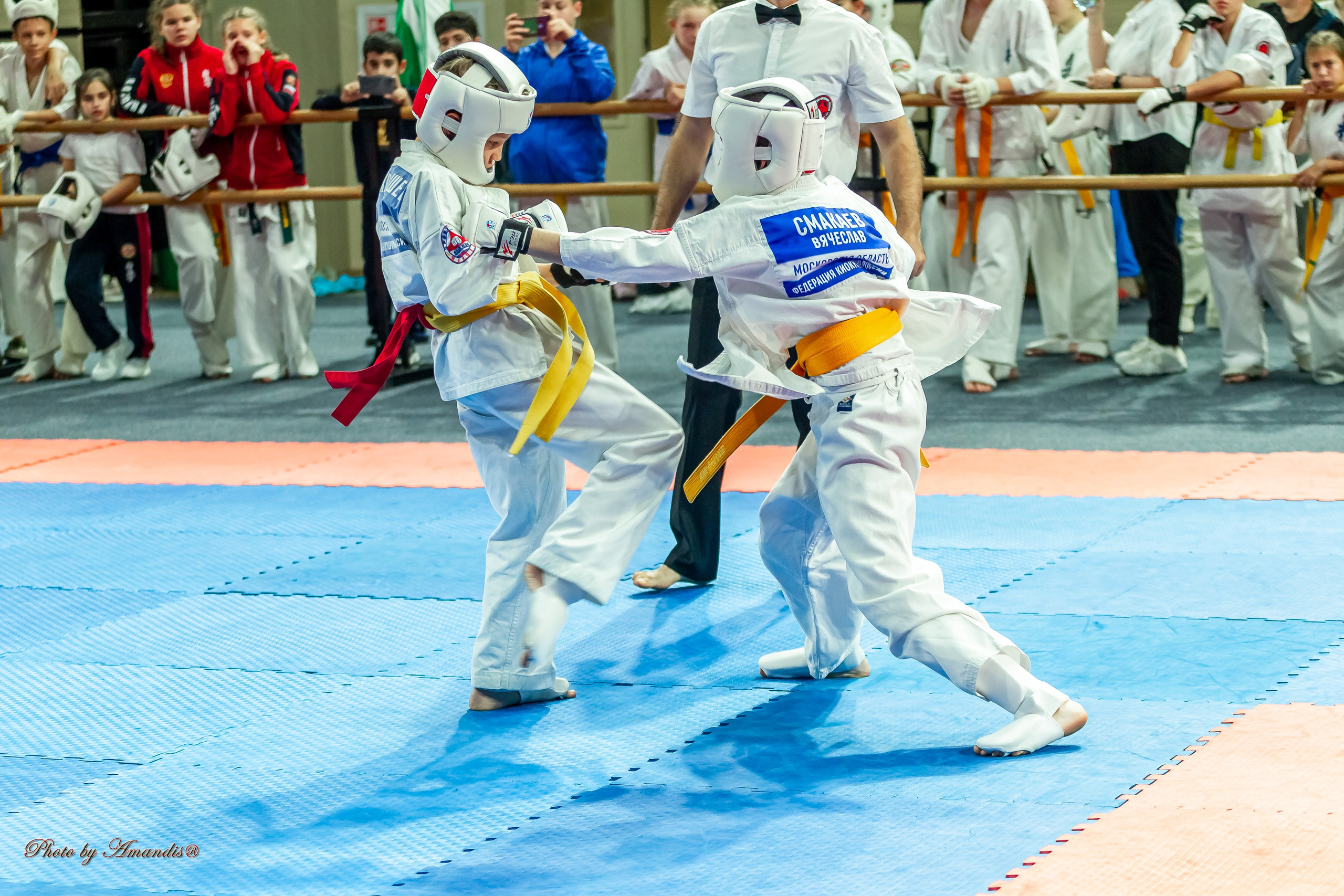 Первенство Московской области по Киокушин в СК «Жаворонки». Репортажная съемка в Москве и области. Анималистика