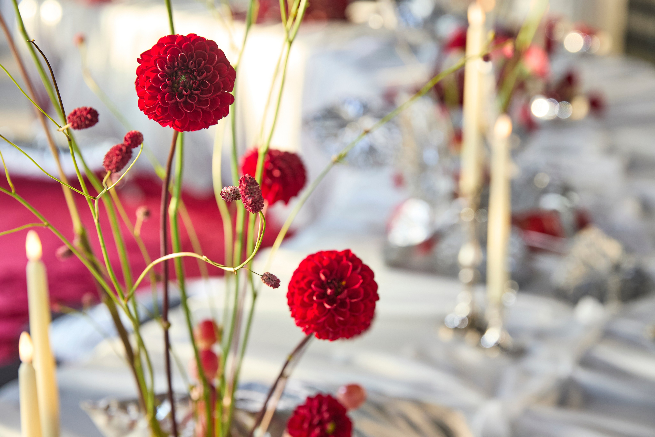 Роял Бич. Свадебный фотограф Анастасия Казакова