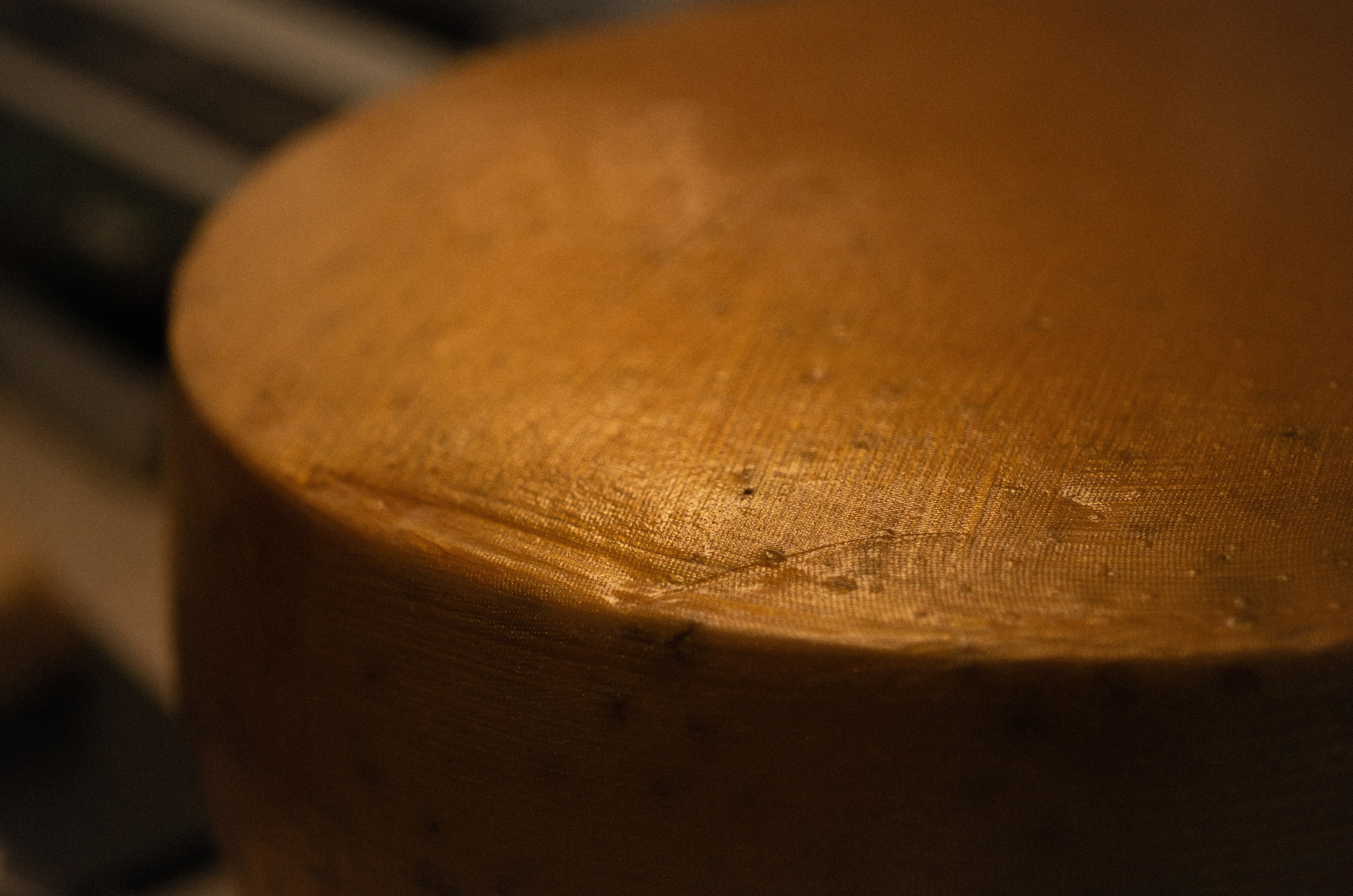 Поход в сыроварню. Наталья Севрук — фотограф во Владимире