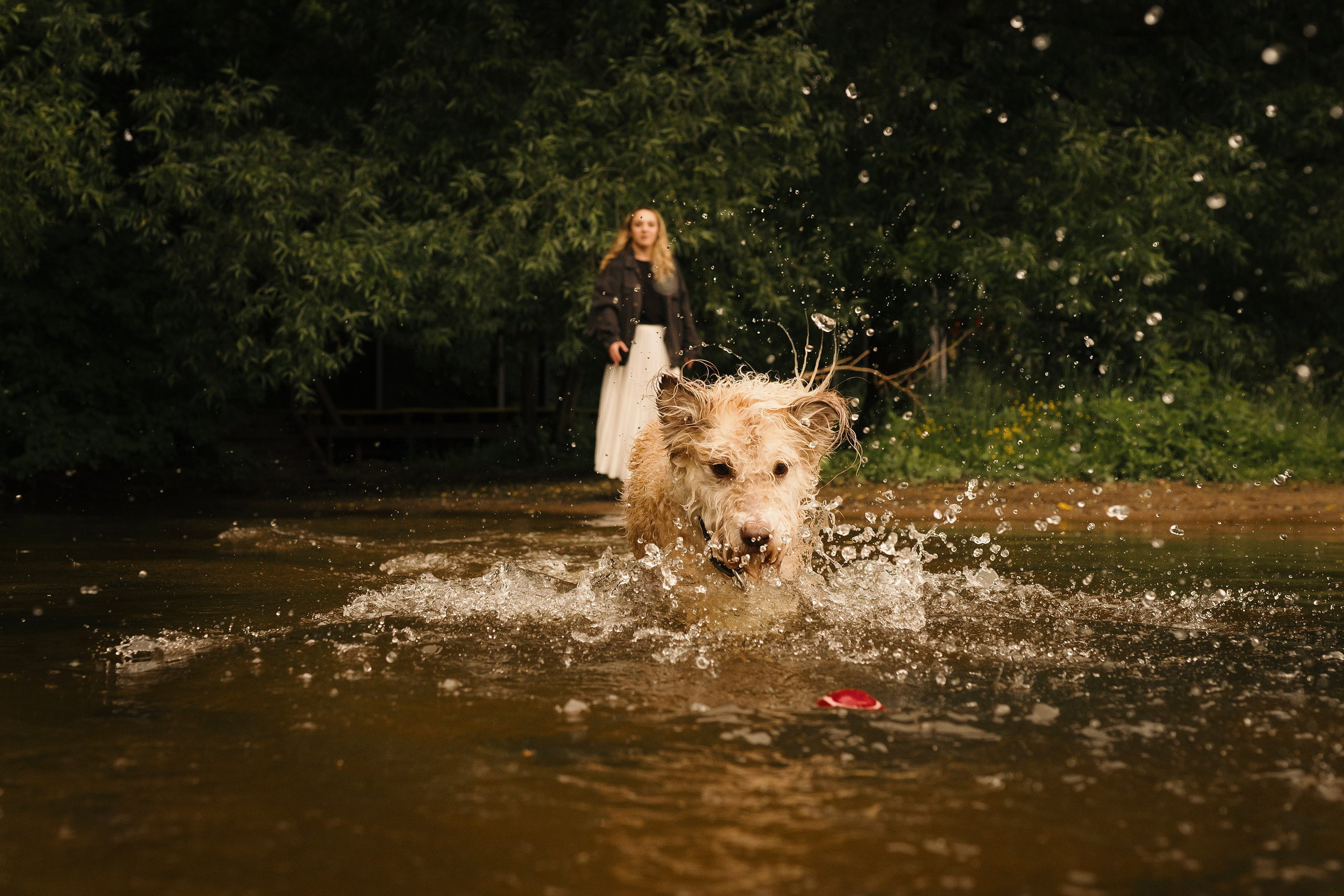 Акиро и Йоши. Фотограф- анималист Александра Матвеева