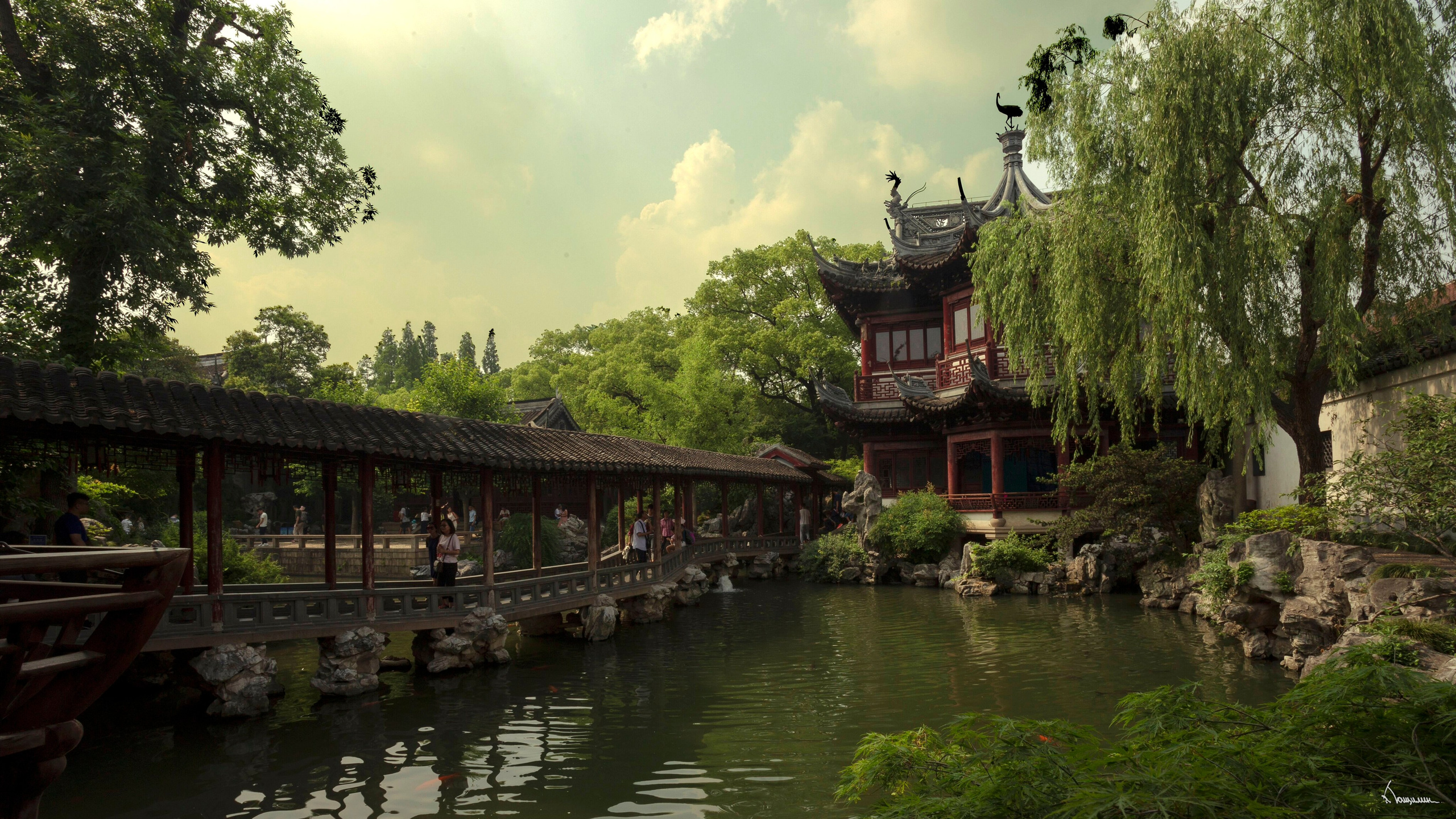 2017. Тащилин Сергей. Фотографии. Жизнь. Хобби