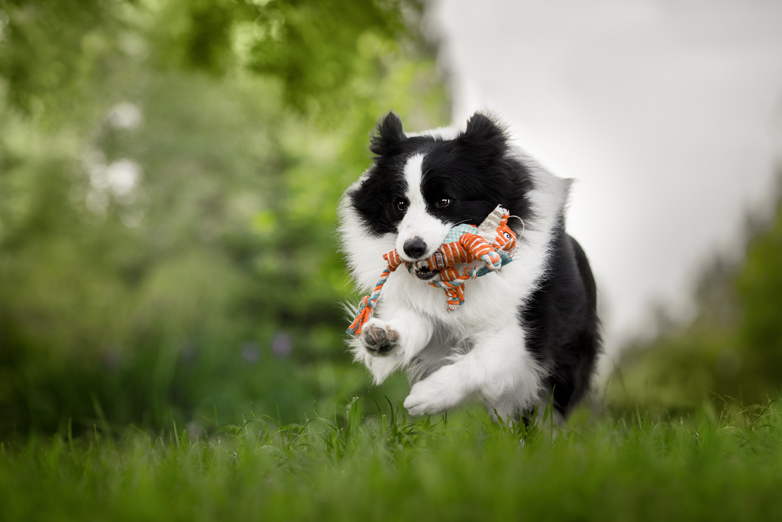 Роскошь в ростошах. О нас