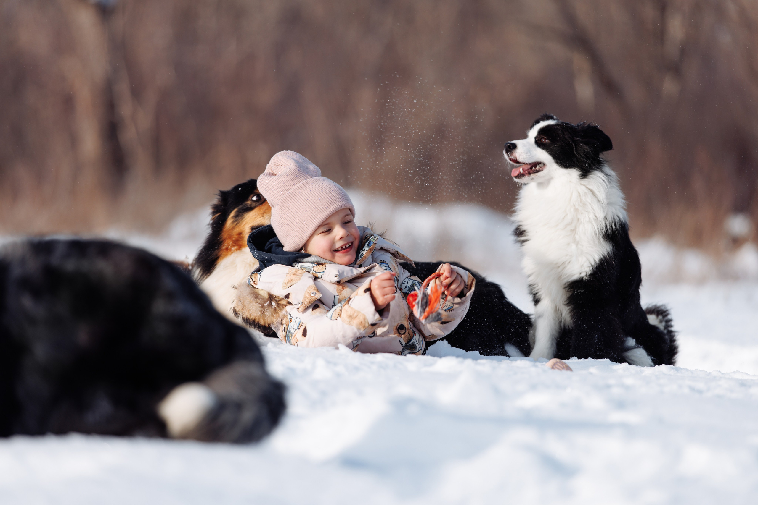 Яркий январь. О нас