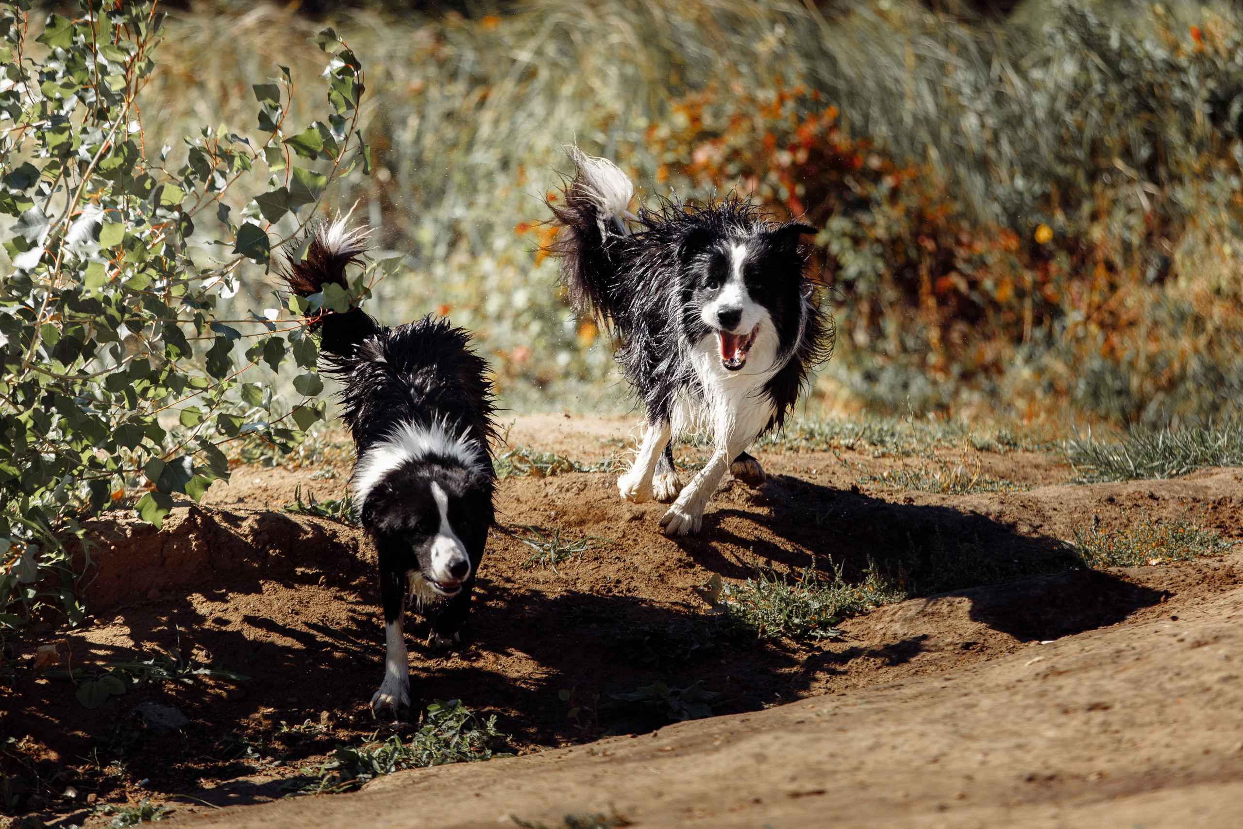 Водяные в Новотроицке. О нас