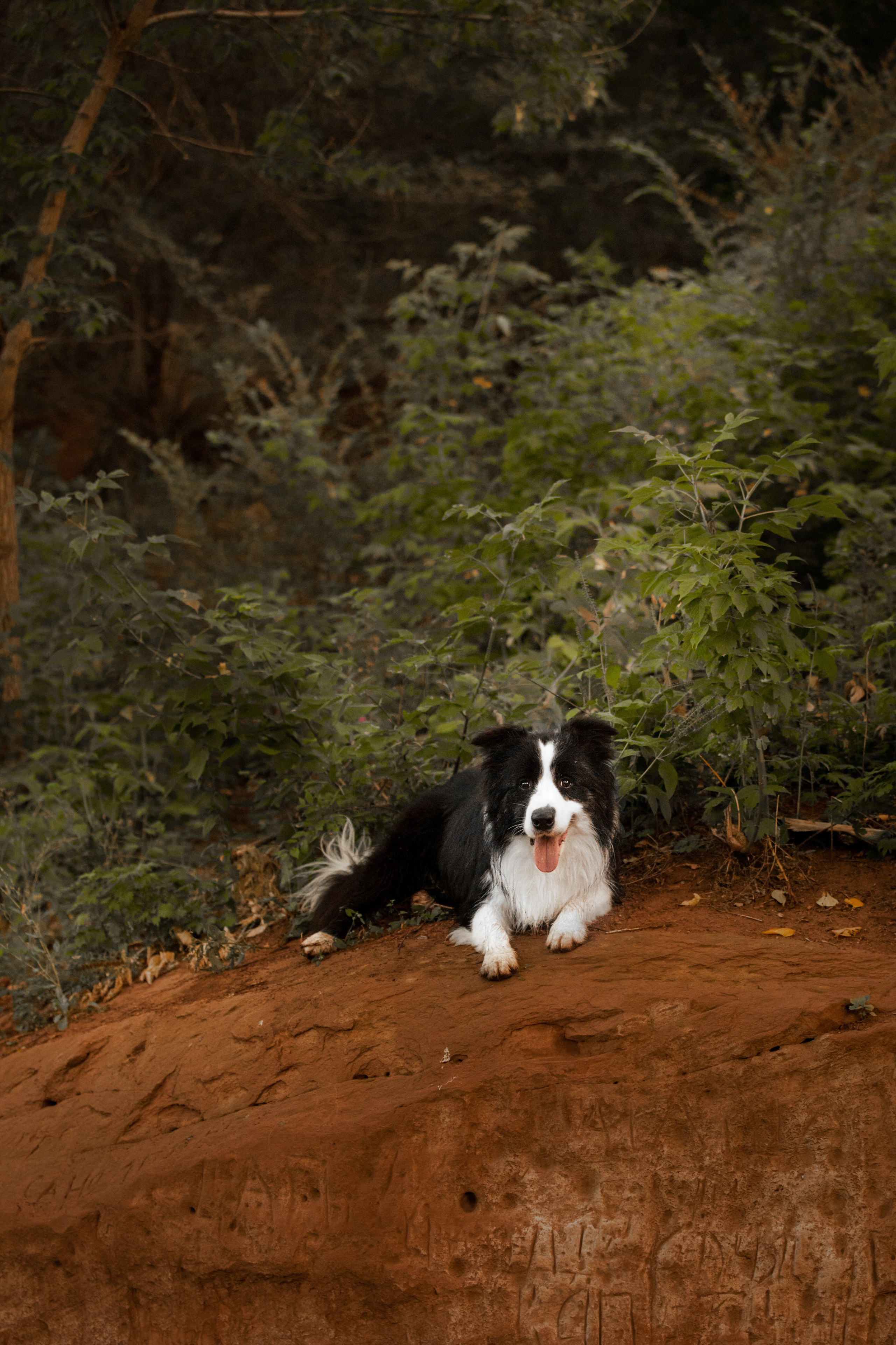 Сочный рассвет, на который решились. О нас