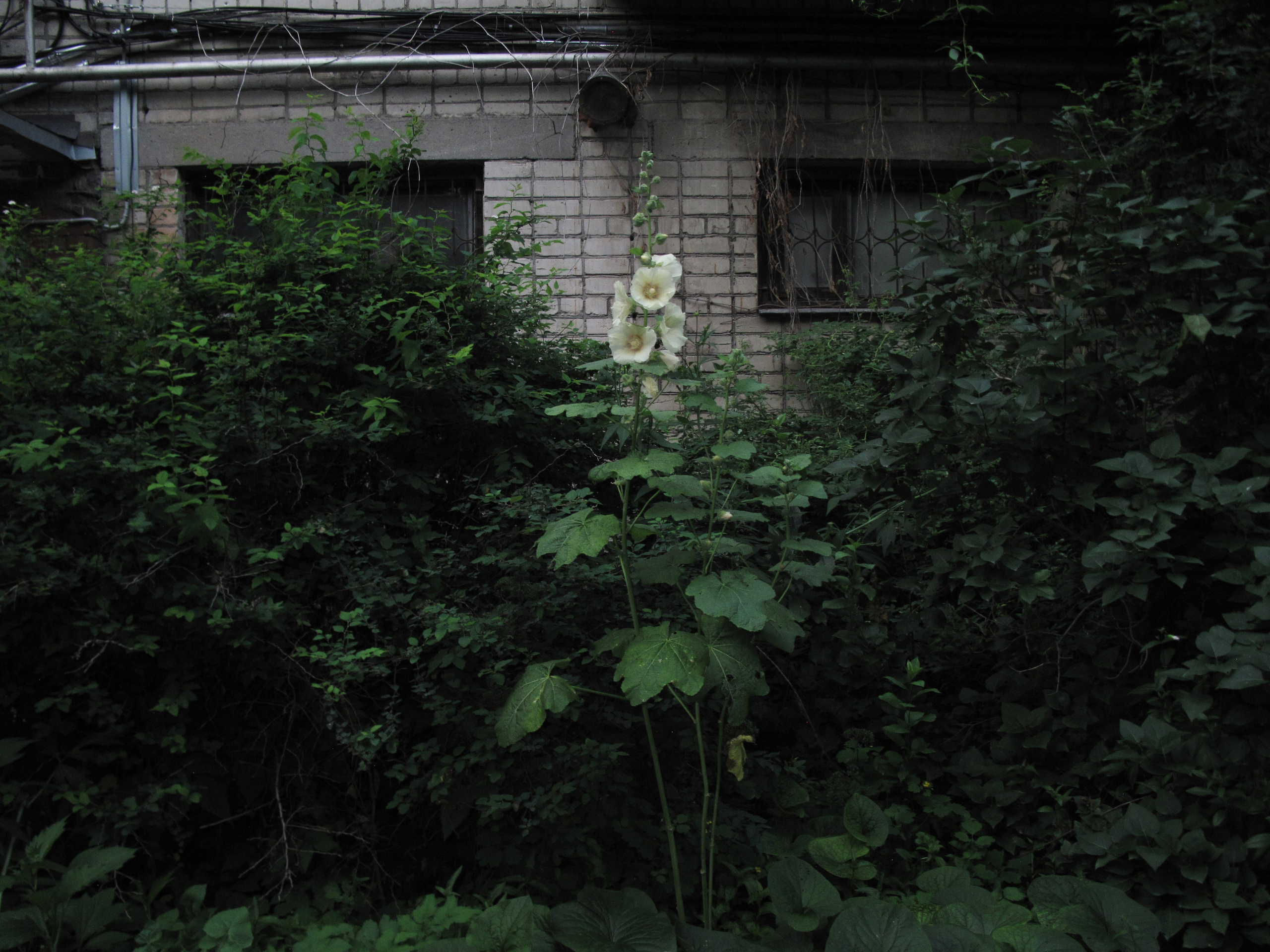 How to be lonely. Breus Sasha photography & art