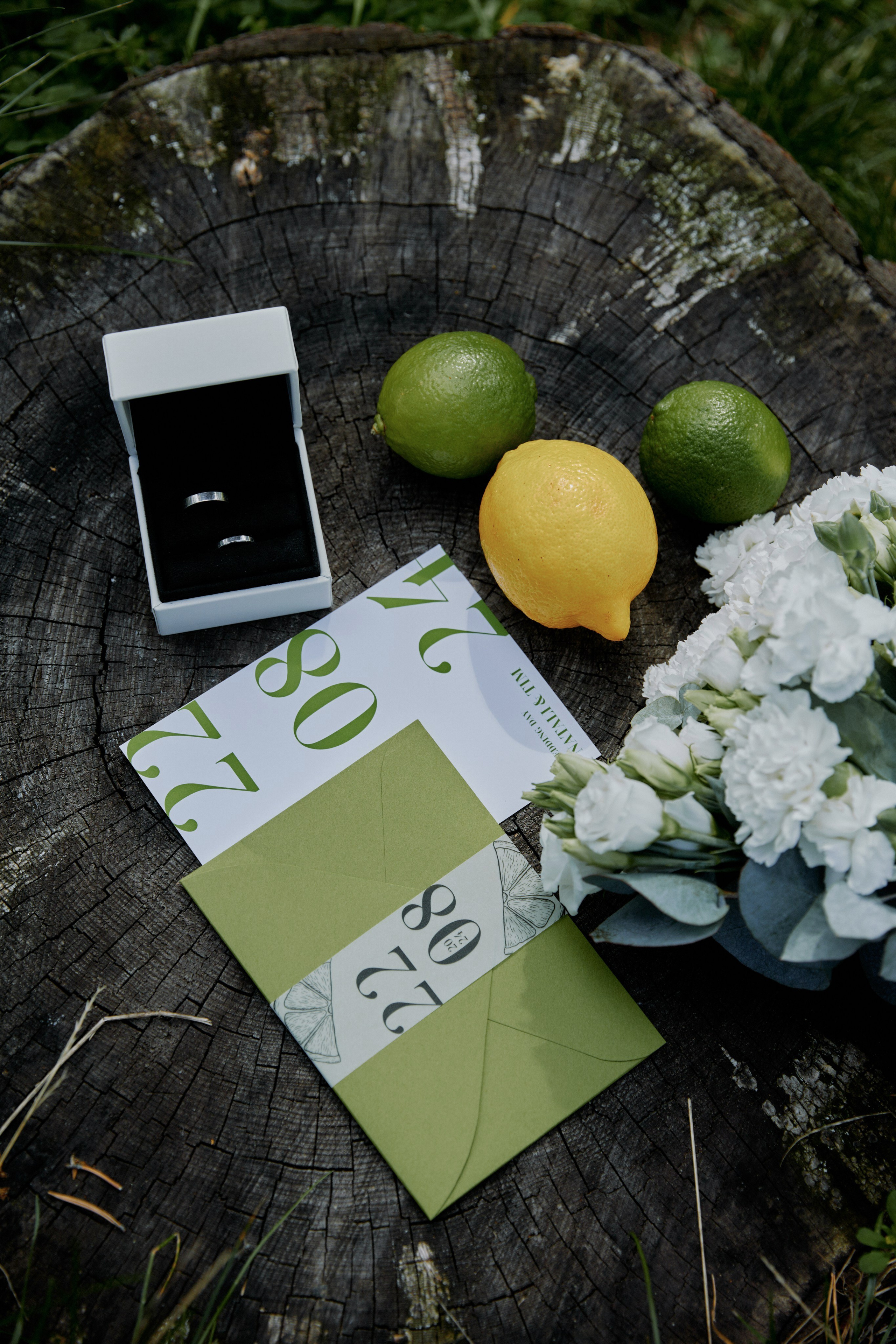 Лаймовое настроение. Фотограф Елена Краснопевцева