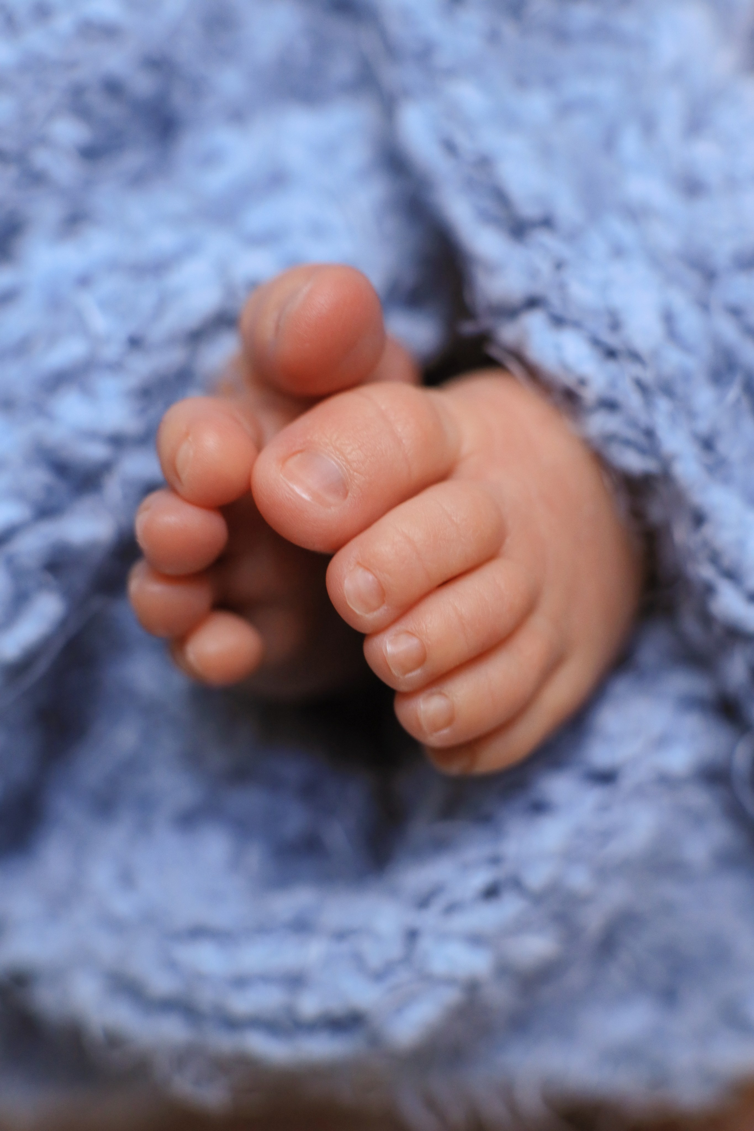 Глеб 11 дней. Семейный фотограф и фотограф новорожденных в Санкт-Петербурге Алина Фе