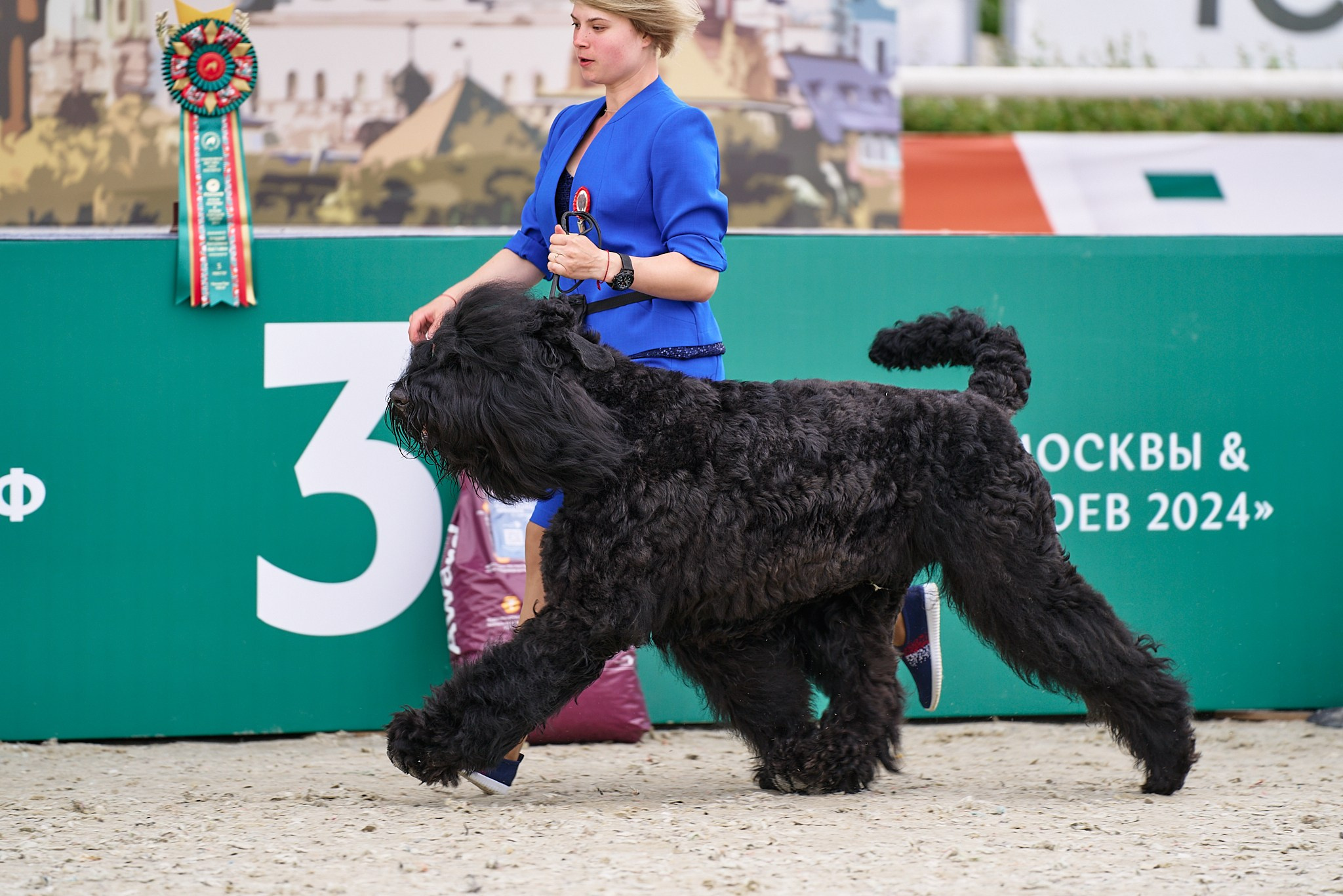 09.06.2024, «РОССИЯ. КУБОК МОСКВЫ 2024 & КУБОК ГОРОДОВ-ГЕРОЕВ»