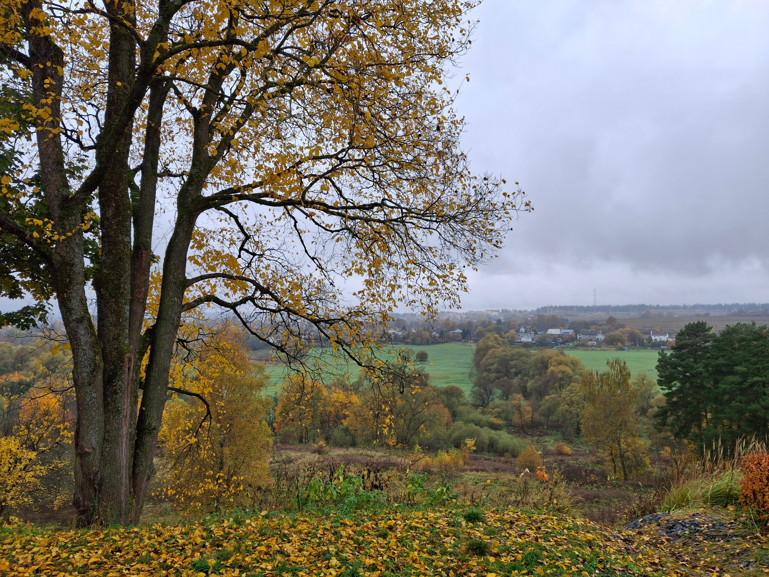 Последняя поездка. Игорь Жучков. Россия увиденная глазами путешествующего фотографа