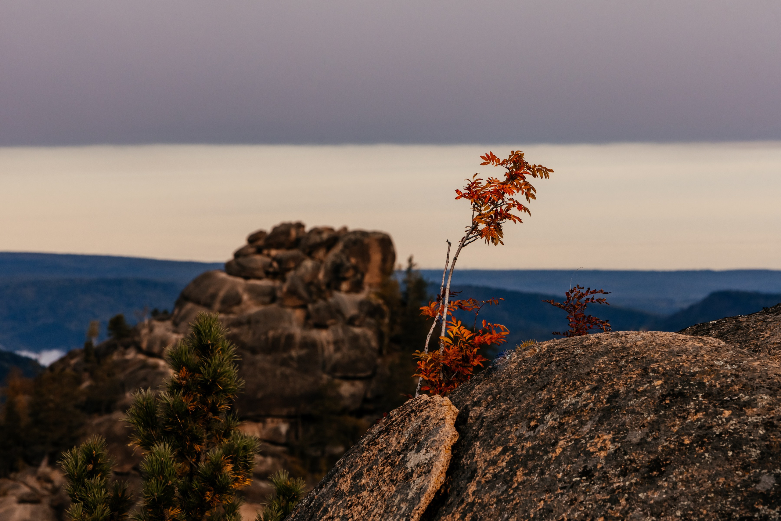 «Столбы». Фотограф в Красноярске Оксана Корчагина
