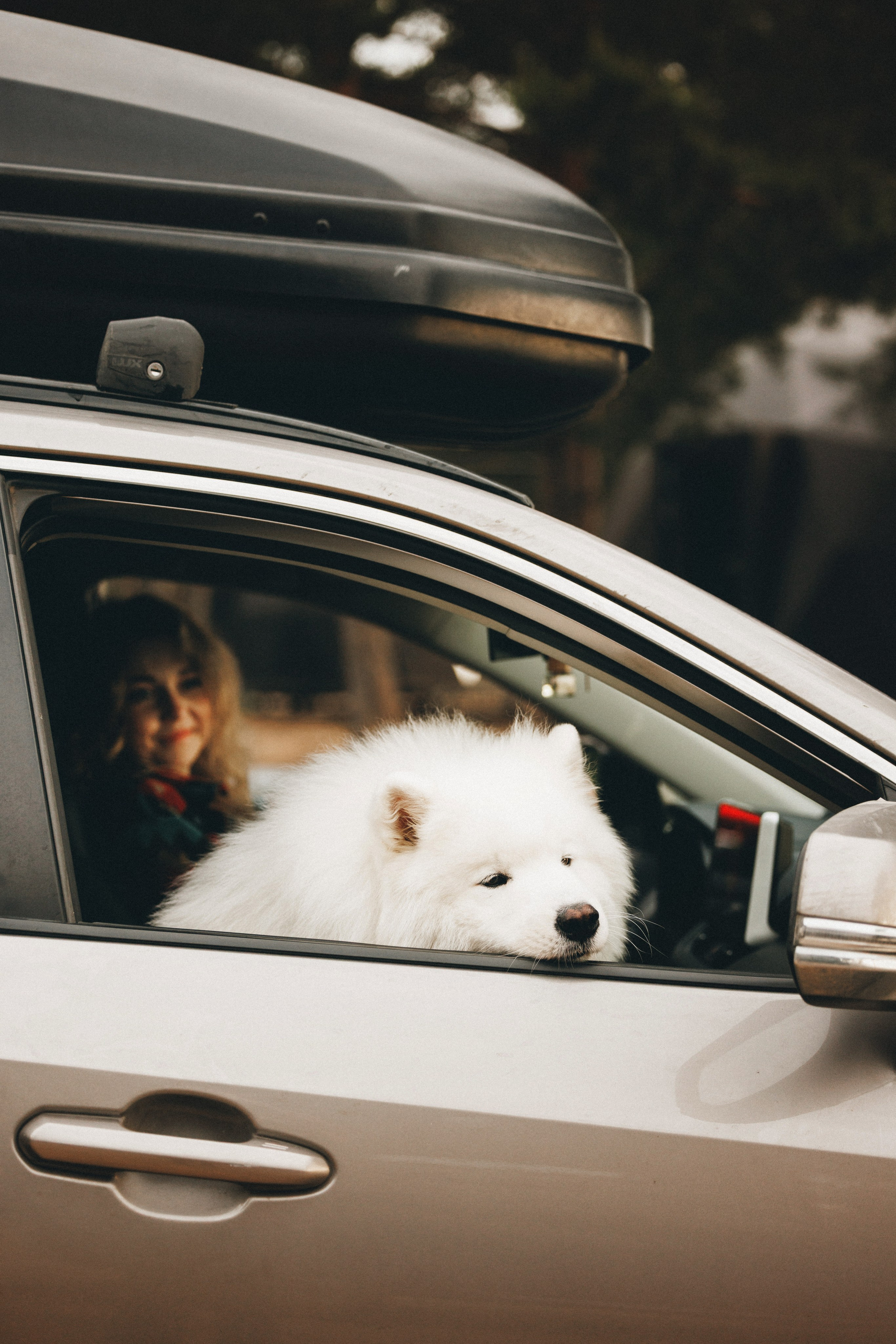 Женя и Цезарь. Фотограф анималист Осипчикова Мария