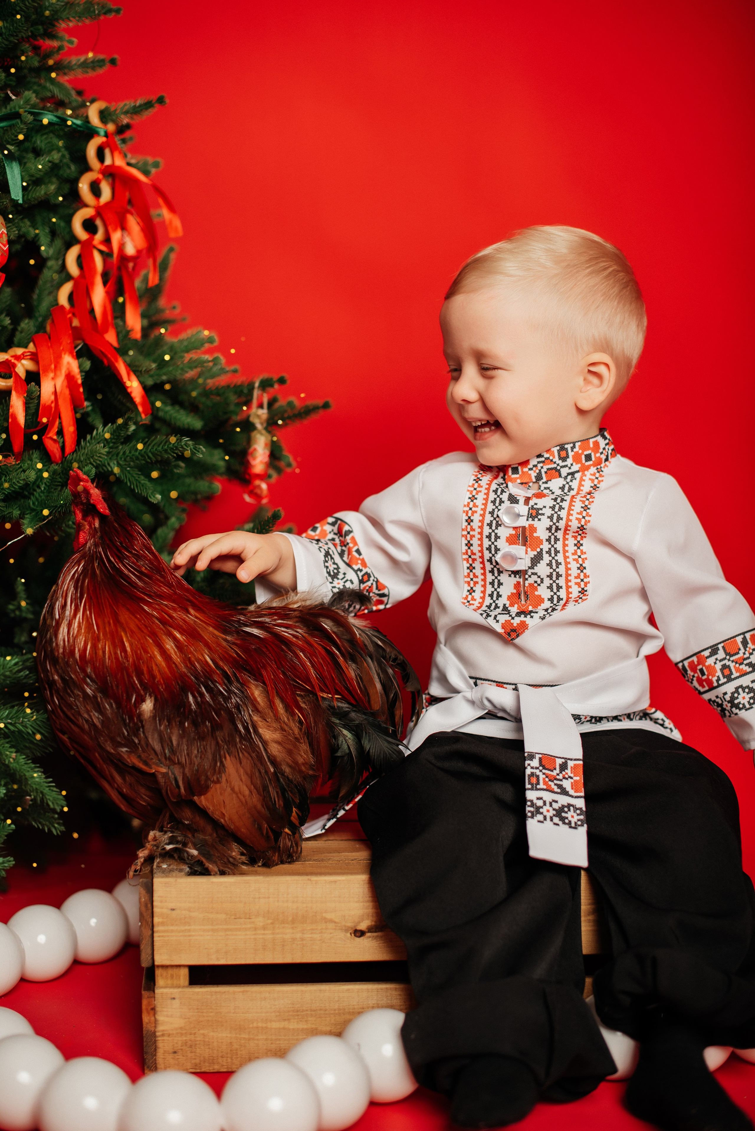 Новый год. Фотограф новорожденных и беременности Сергиев Посад Усачева Ирина