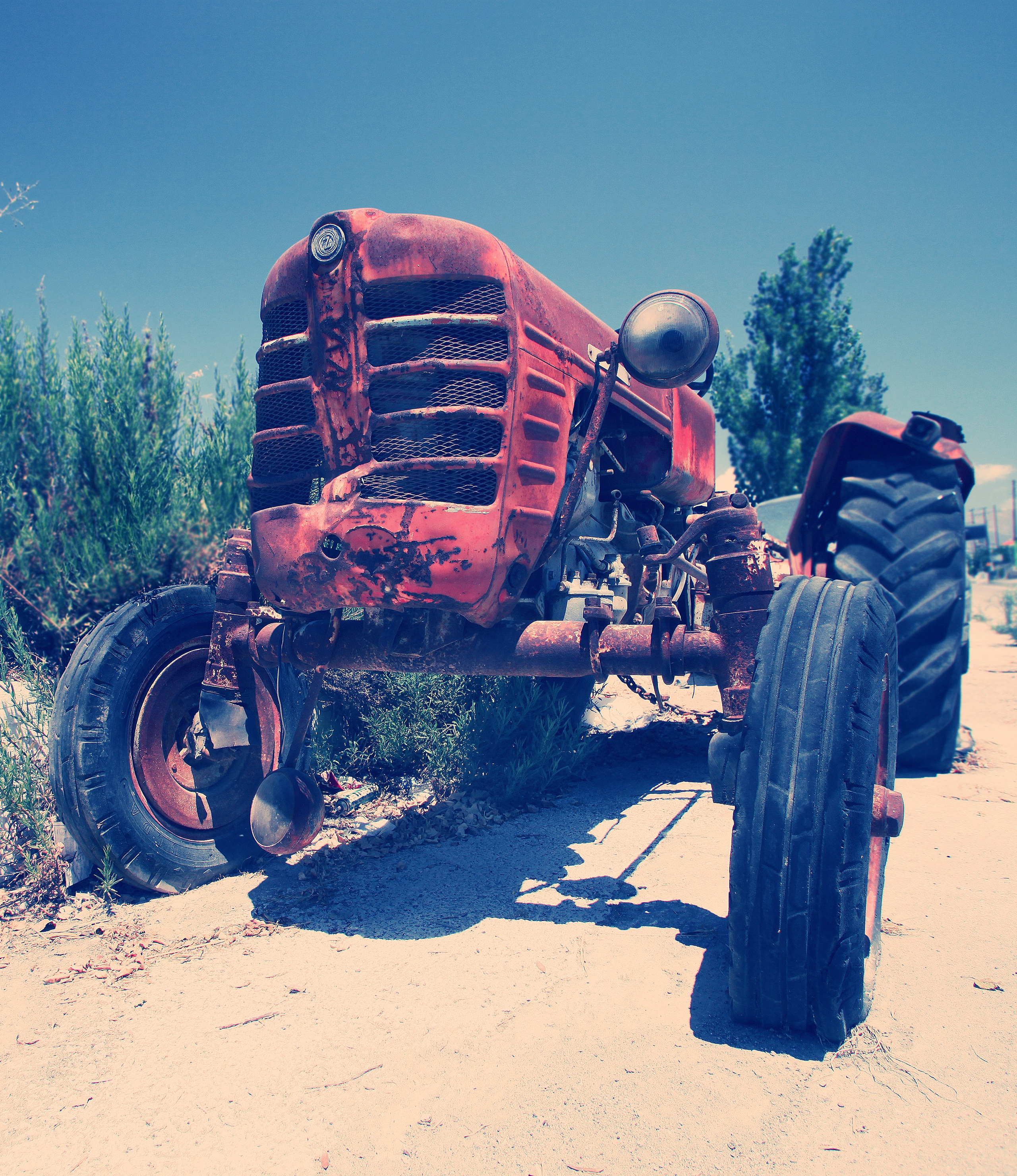 Родос. Фотография, ретушь, сканирование, восстановление старых фото, интерьерная съёмка, студия. Данилов Александр, Москва