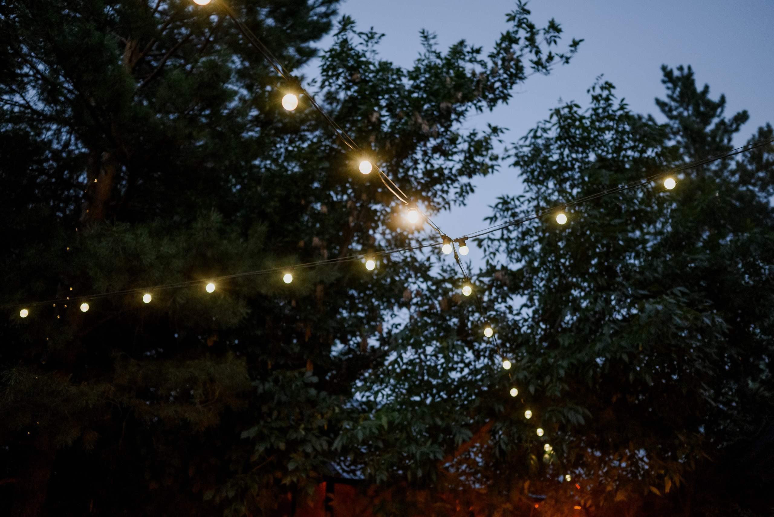 Олег и Алёна. Фотограф Филякин Константин