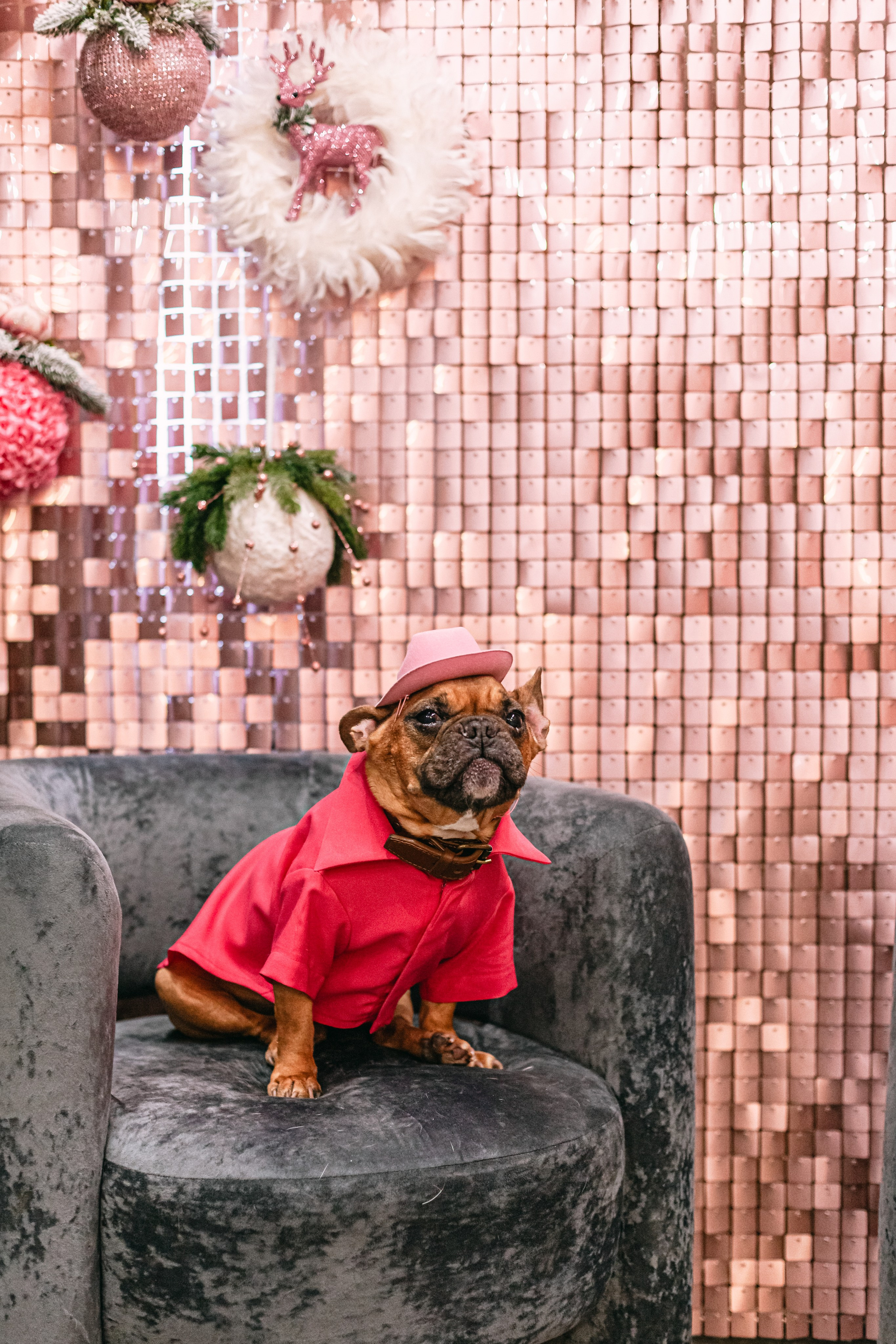 Бульёлка 2024. Фотограф-анималист Татьяна Степанова