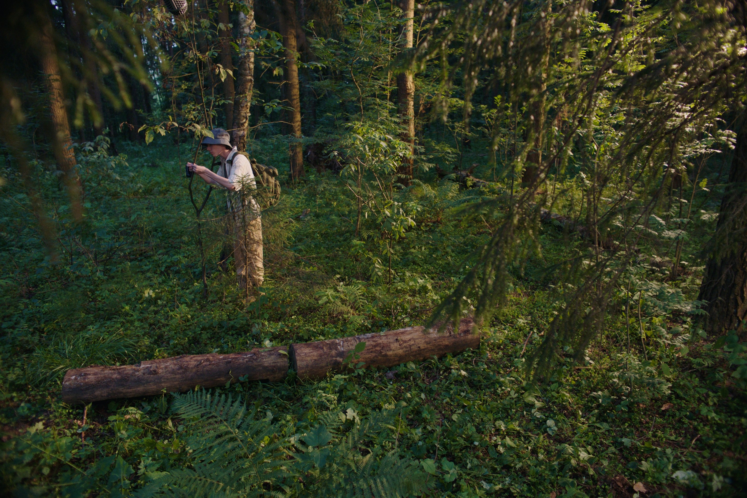 Туман (short film). Colorist Ivan Serzhanov