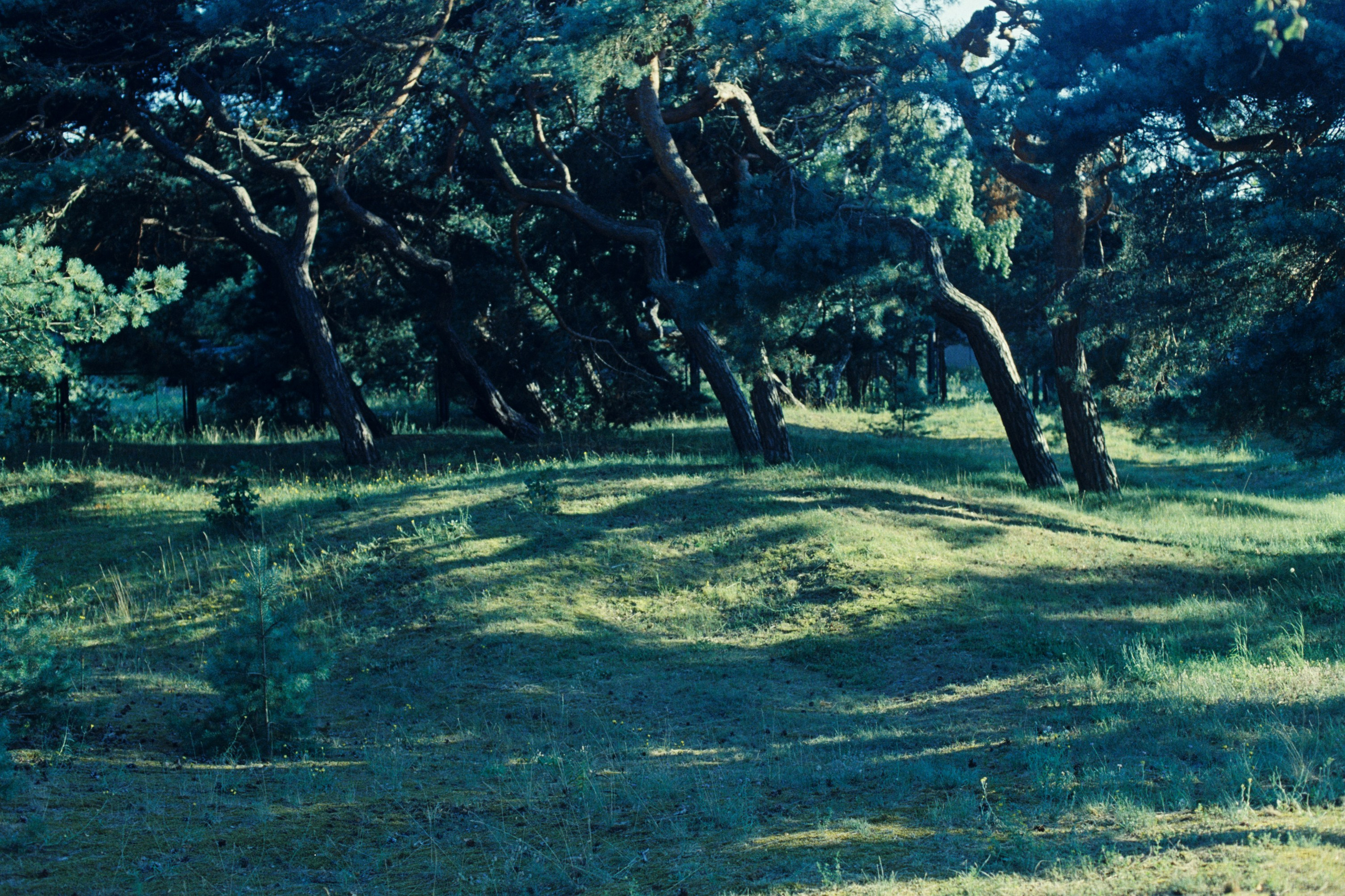 Photo Portfolio. Morskyakanulavmorya