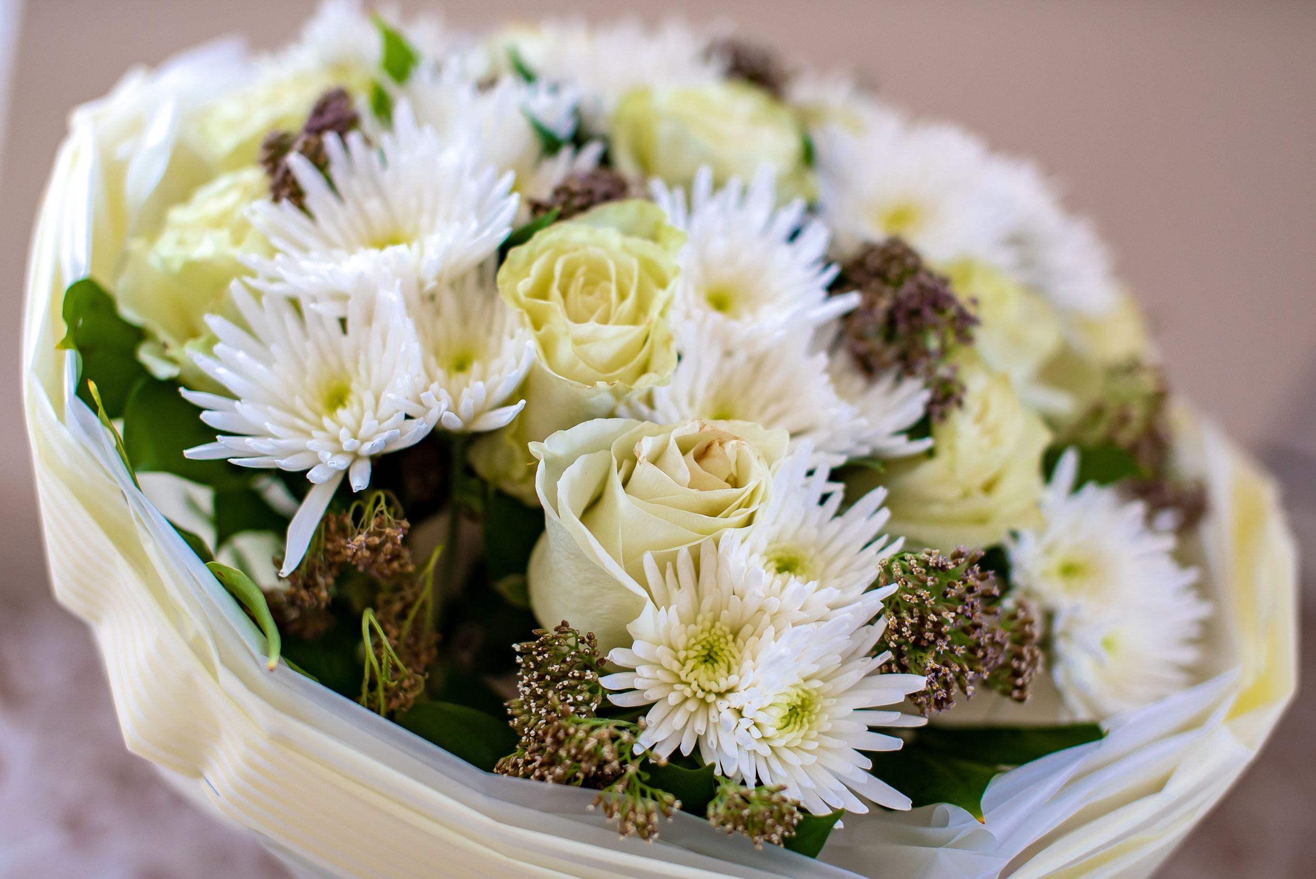 Милое торжество. Максим Матвийченко и Виктория Басова профессионалы своего дела