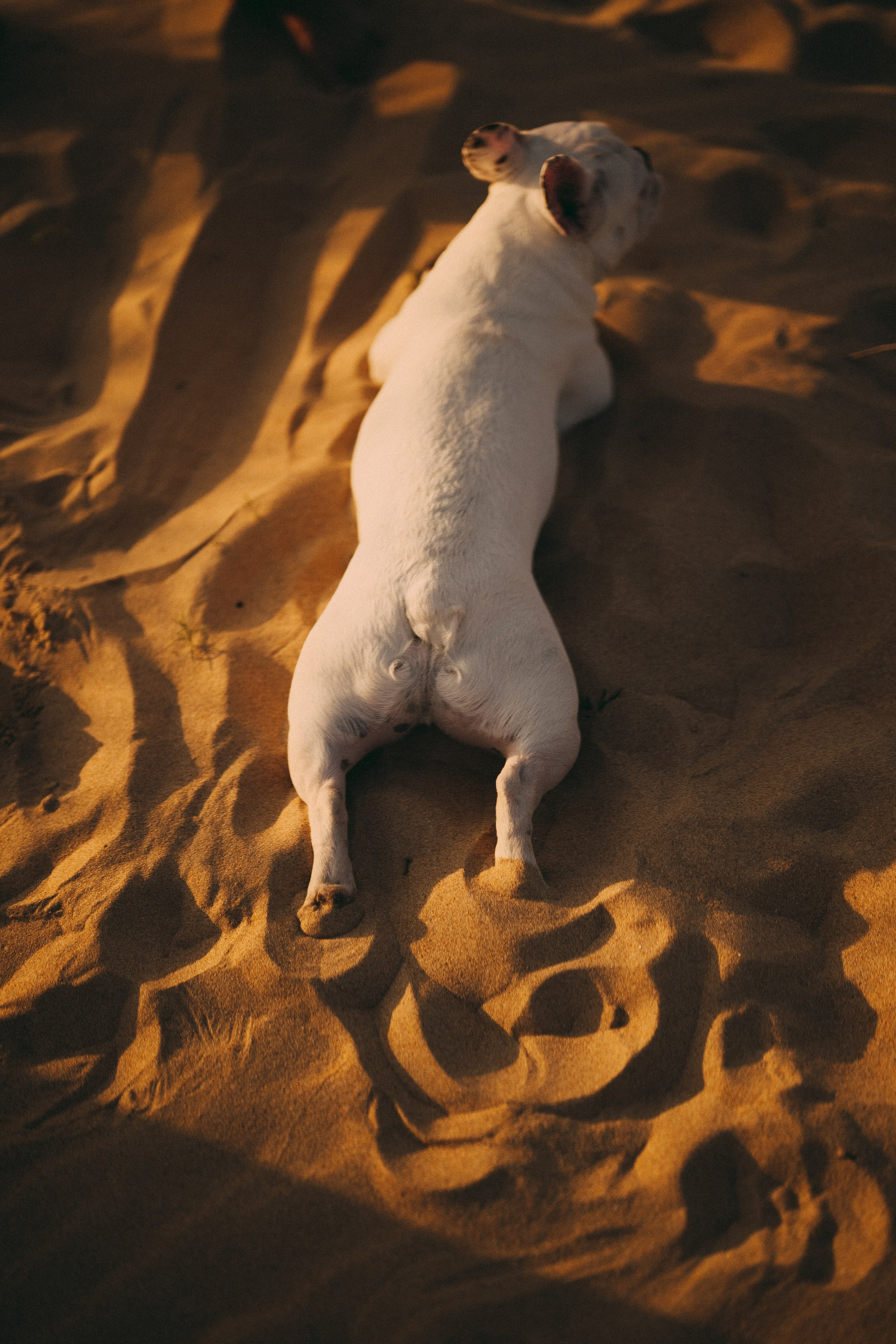 Я буду руками тебя обнявшими. Фотограф Дарья Филатова