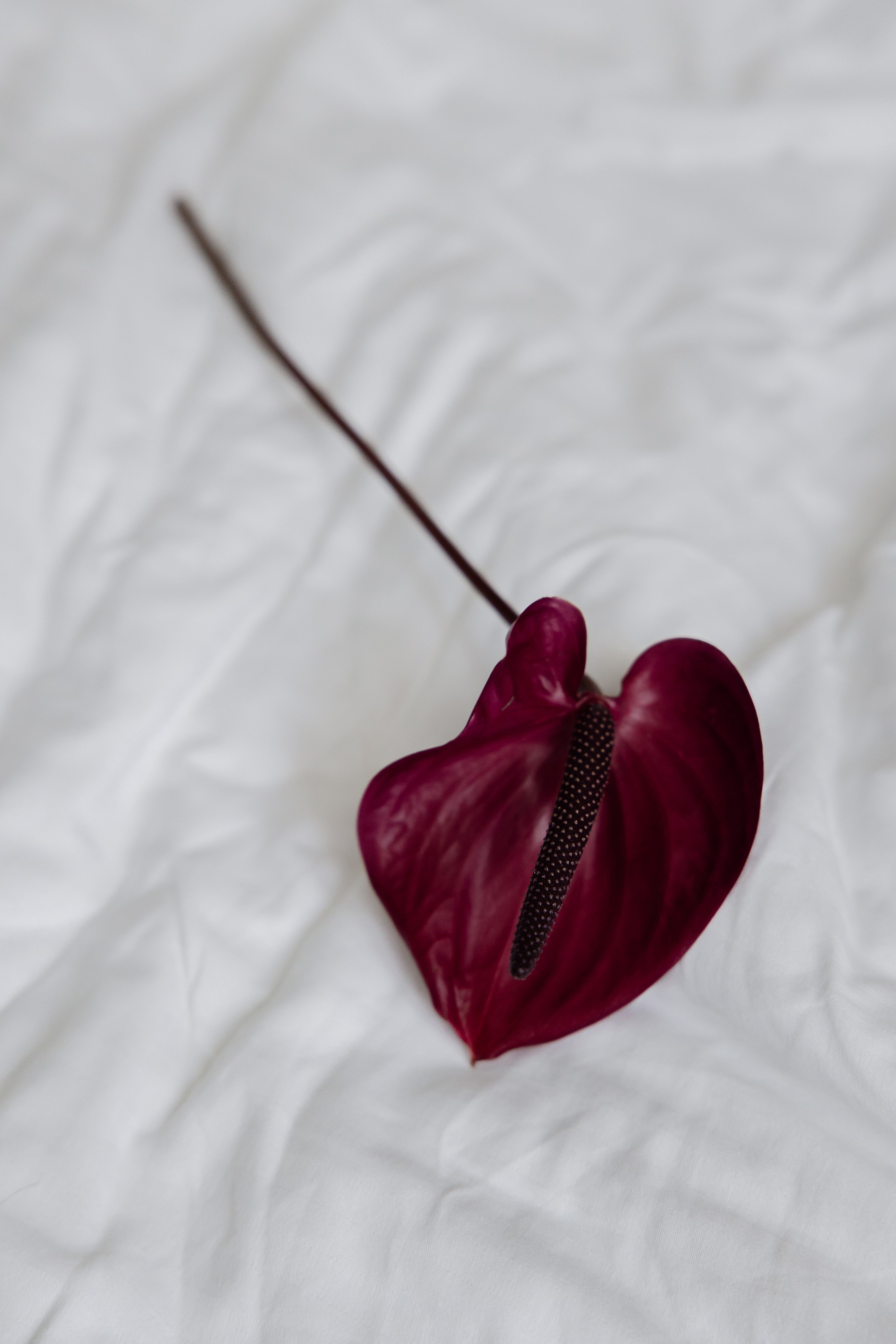 МАРИНА, МОСКВА. Свадебный и индивидуальный фотограф в Челябинске Евгения Негодяева