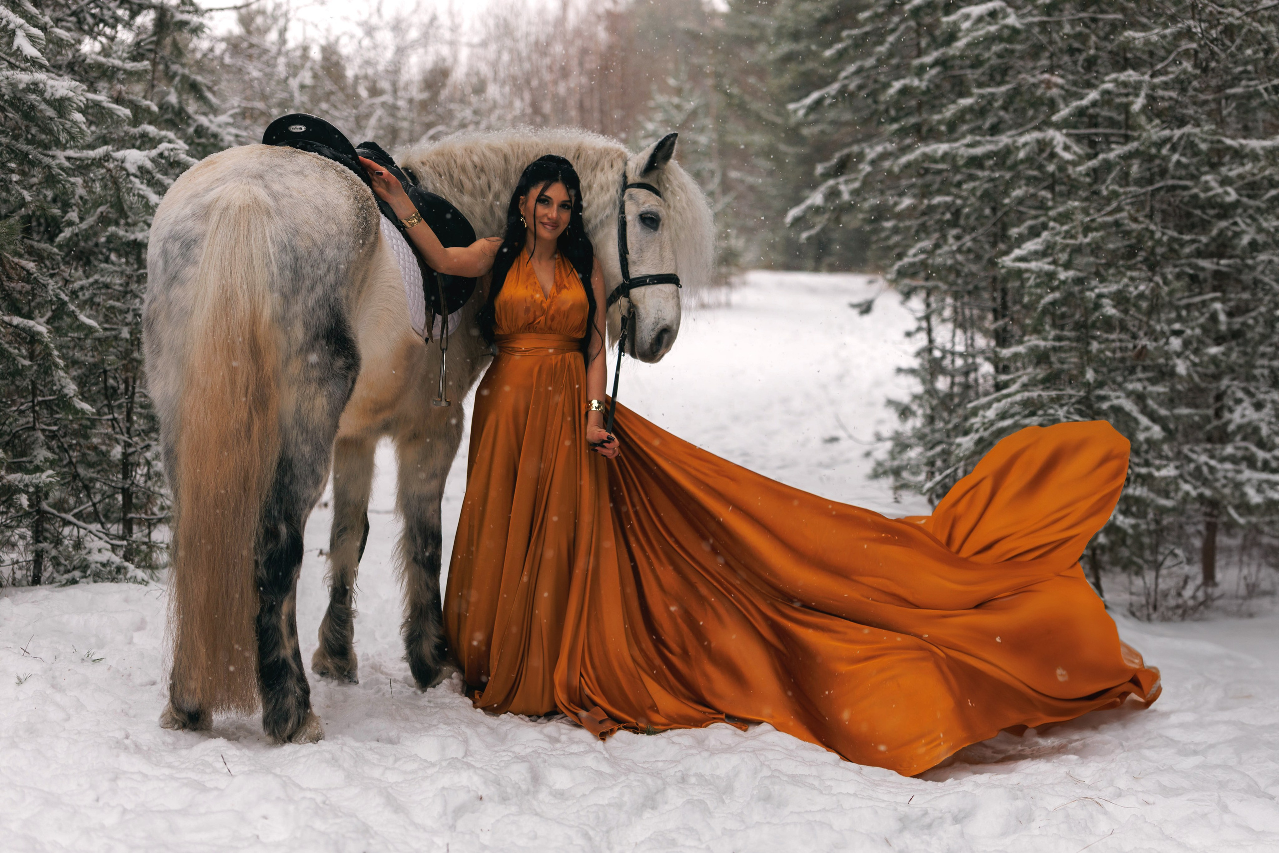 Феникс. Конный фотограф в Красноярске — Любовь Похабова