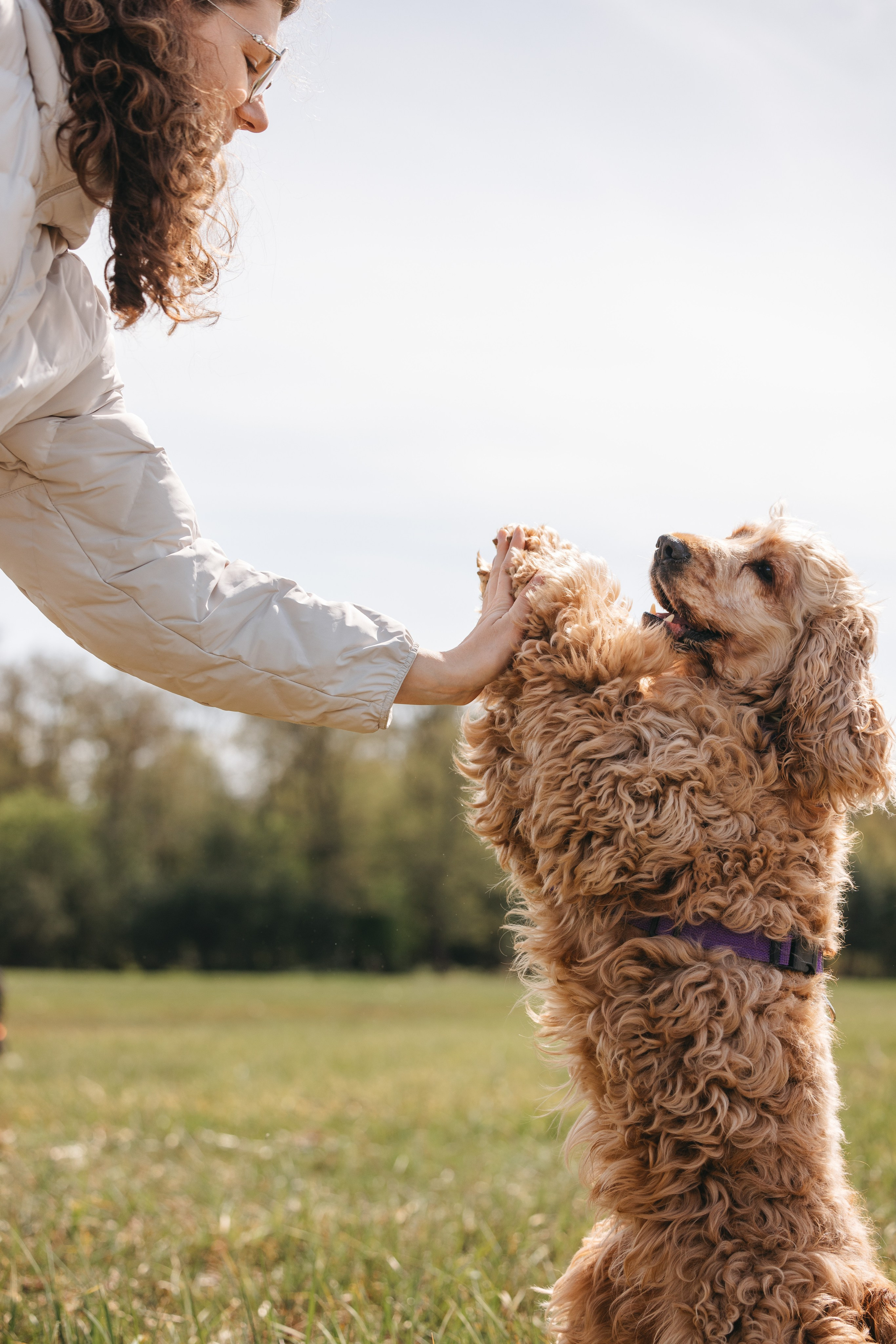 Спанимания. Фотограф анималист Осипчикова Мария