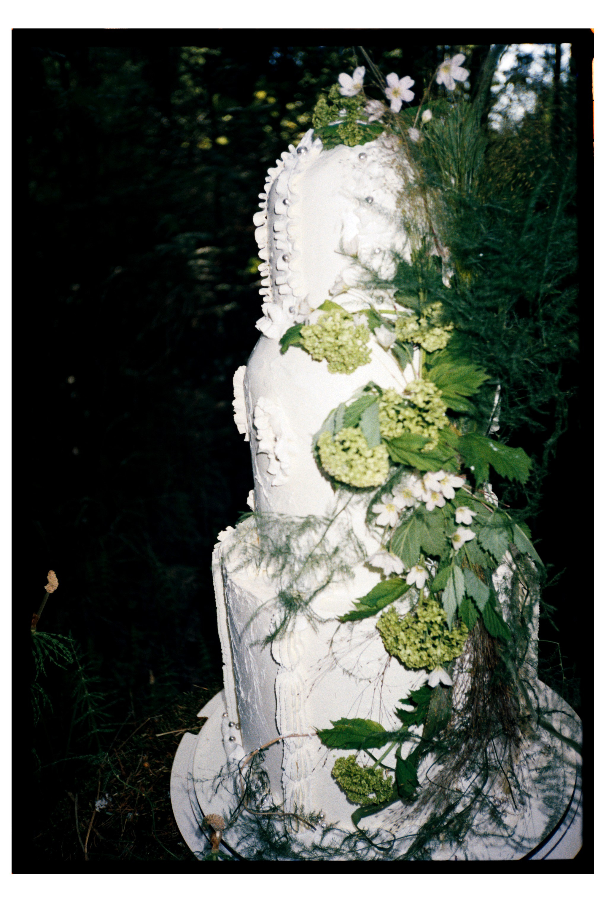 Фото на плёнку. Вера Пьянцева семейный, свадебный и парный фотограф в Санкт-Петербурге