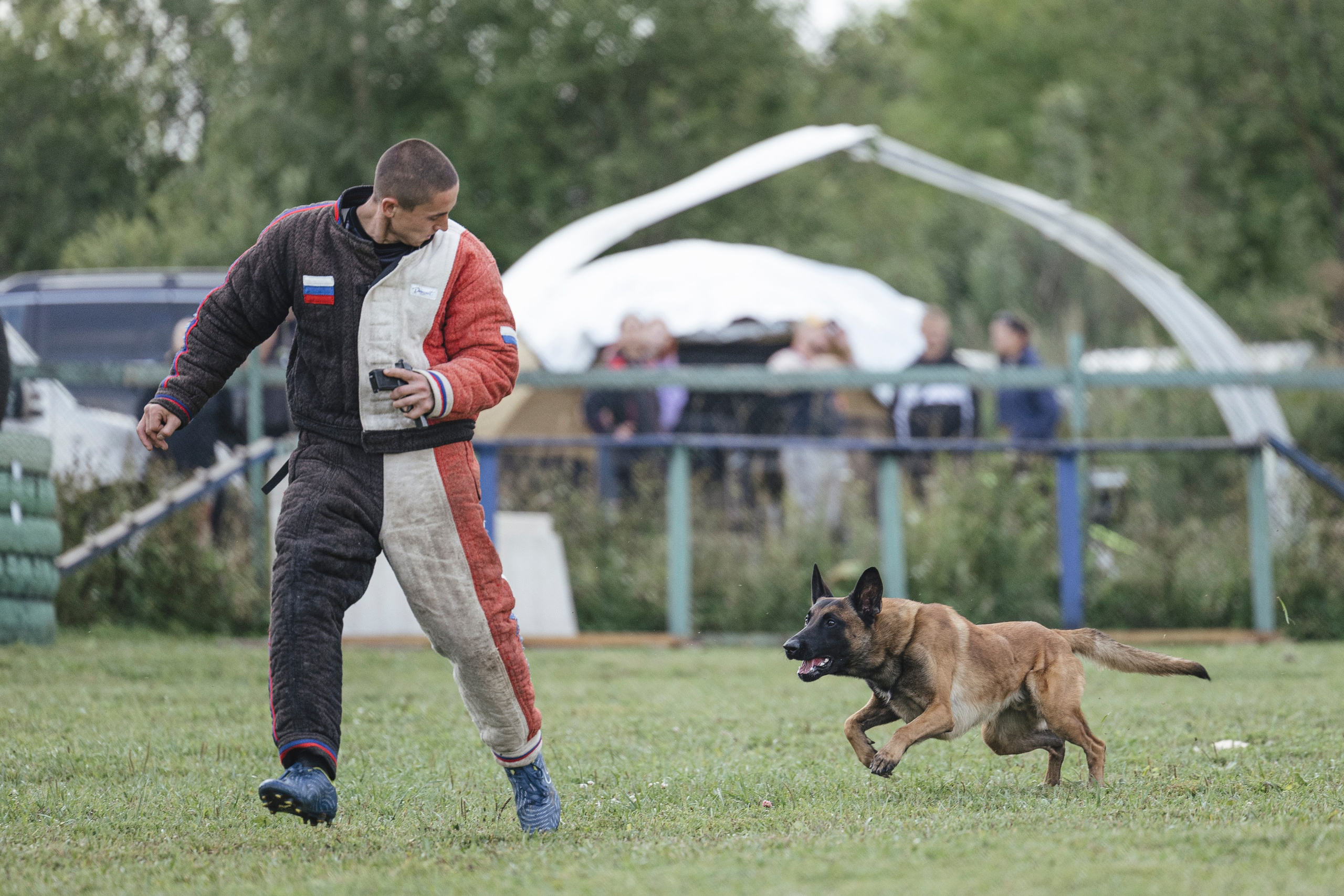 08.08.25-10.08.25 ЧР по мондьорингу г. Вологда. Фотограф-анималист Анна Маринич