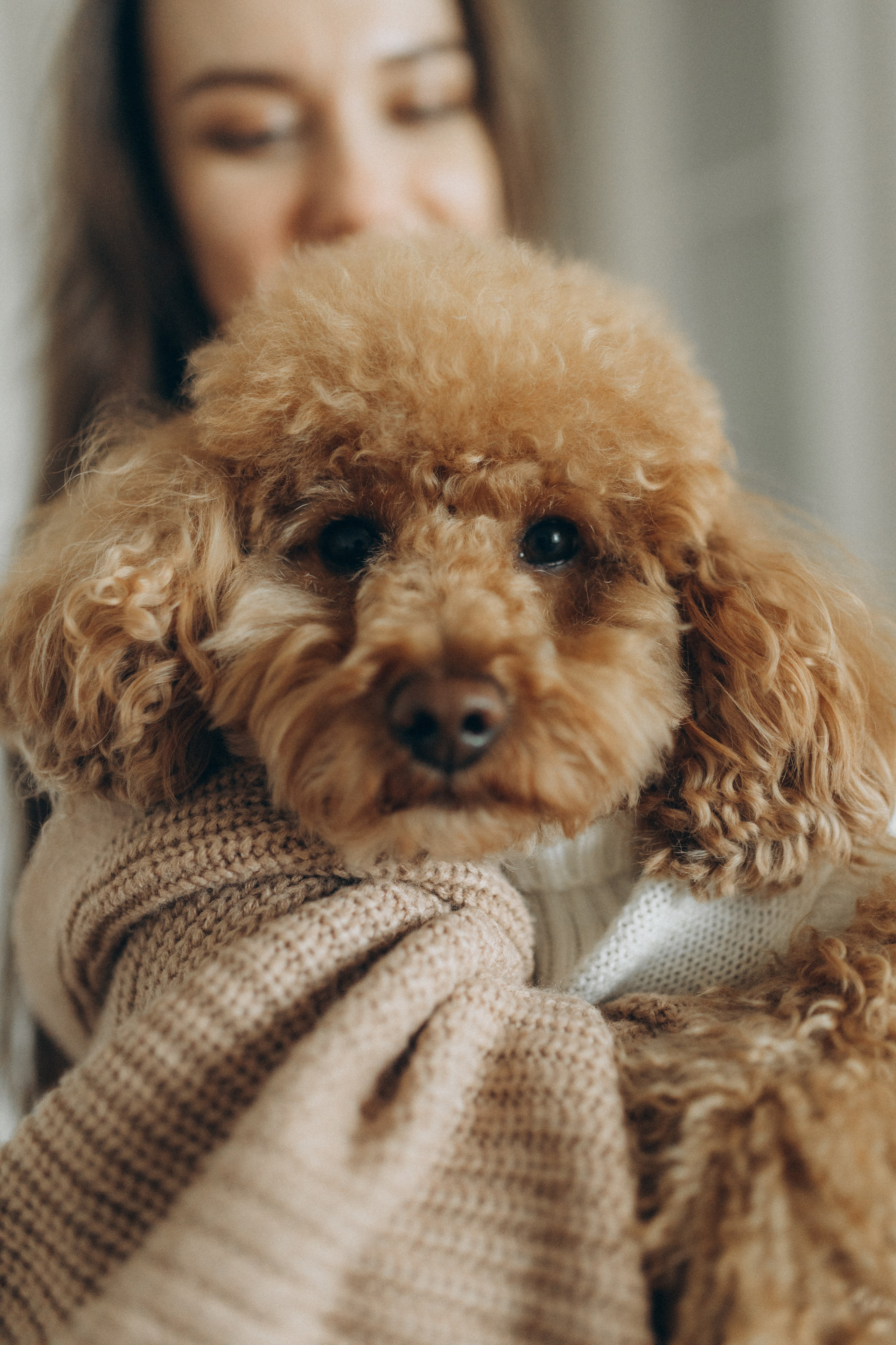 Маша, Ваня & Барни. Фотограф НОГИНСК, Москва, Анастасия Белая
