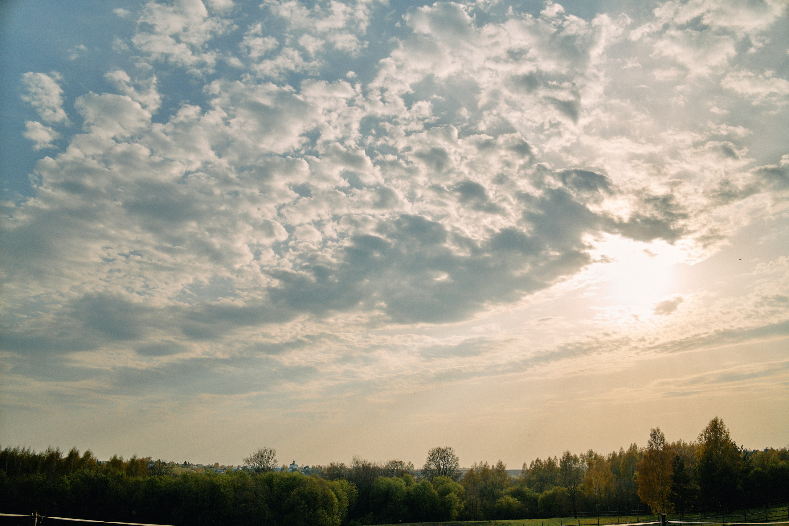 Бутик-отель Поле летом. Профессиональный Фотограф во Владимире, в Москве и в Суздале — Полина Романычева