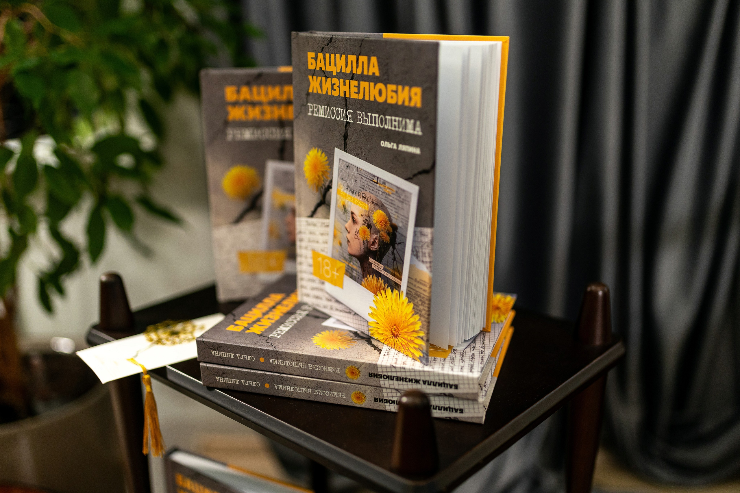 Репортаж с презентации книги «Бацилла жизнелюбия». Татьяна Тетерева, фотограф Москва