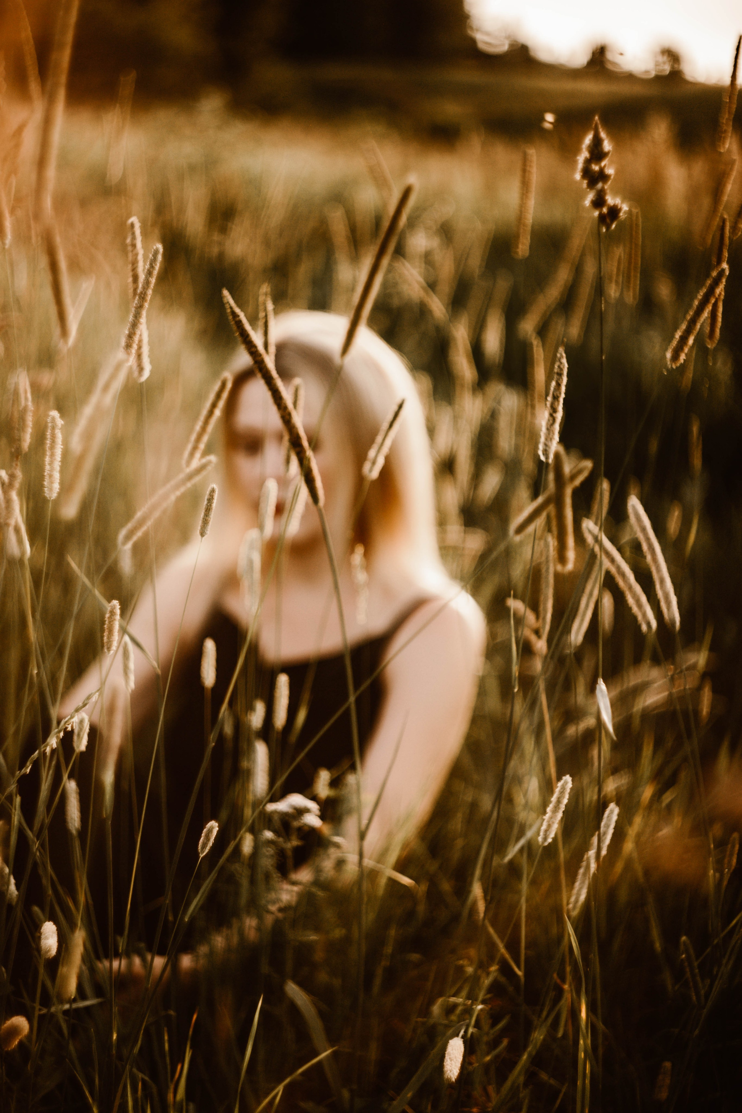 Ирина. Закат. Поле. Фотограф в Нижнем Новгороде