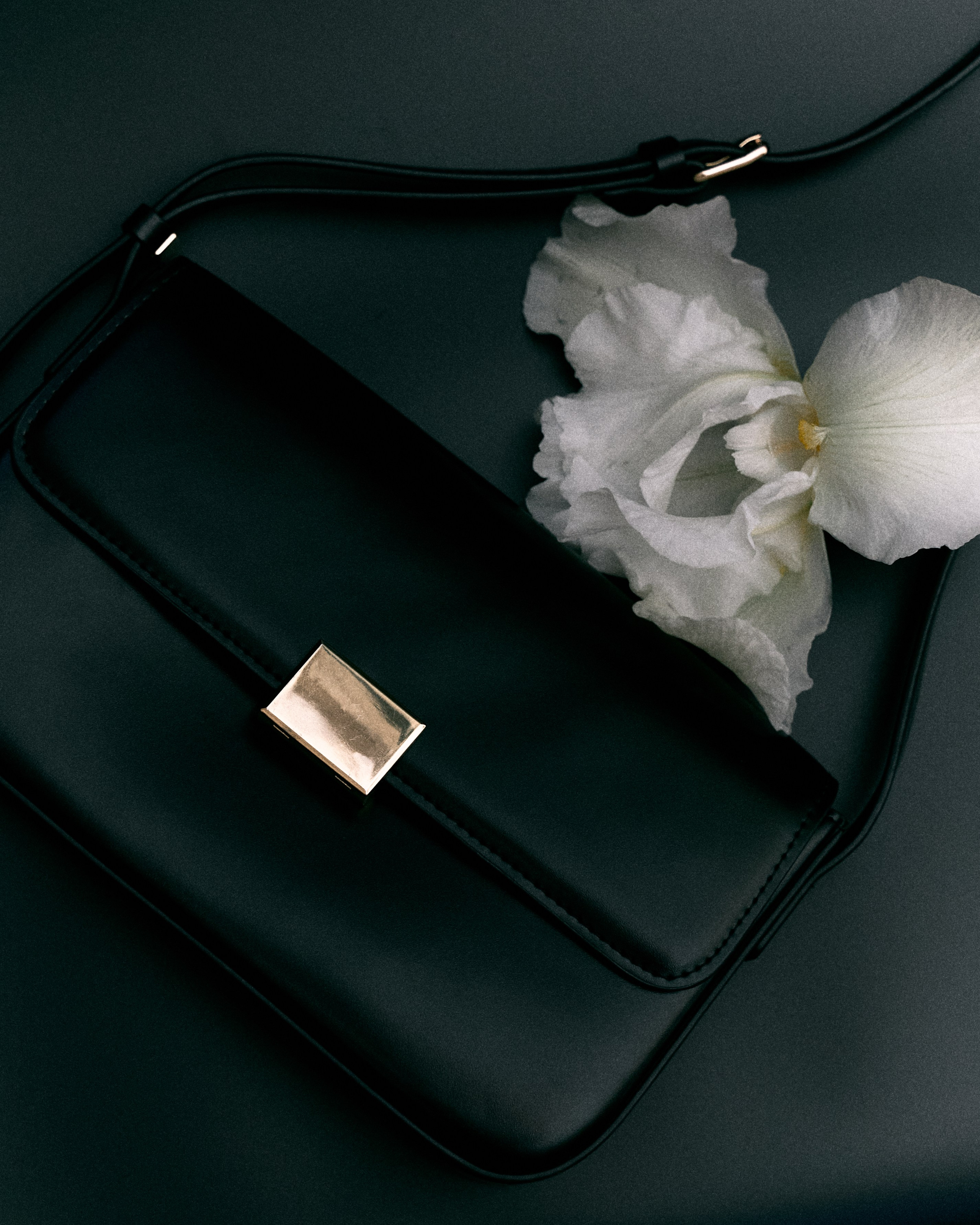 О предметах. Коммерческий фотограф в Брянске Ольга Вороная