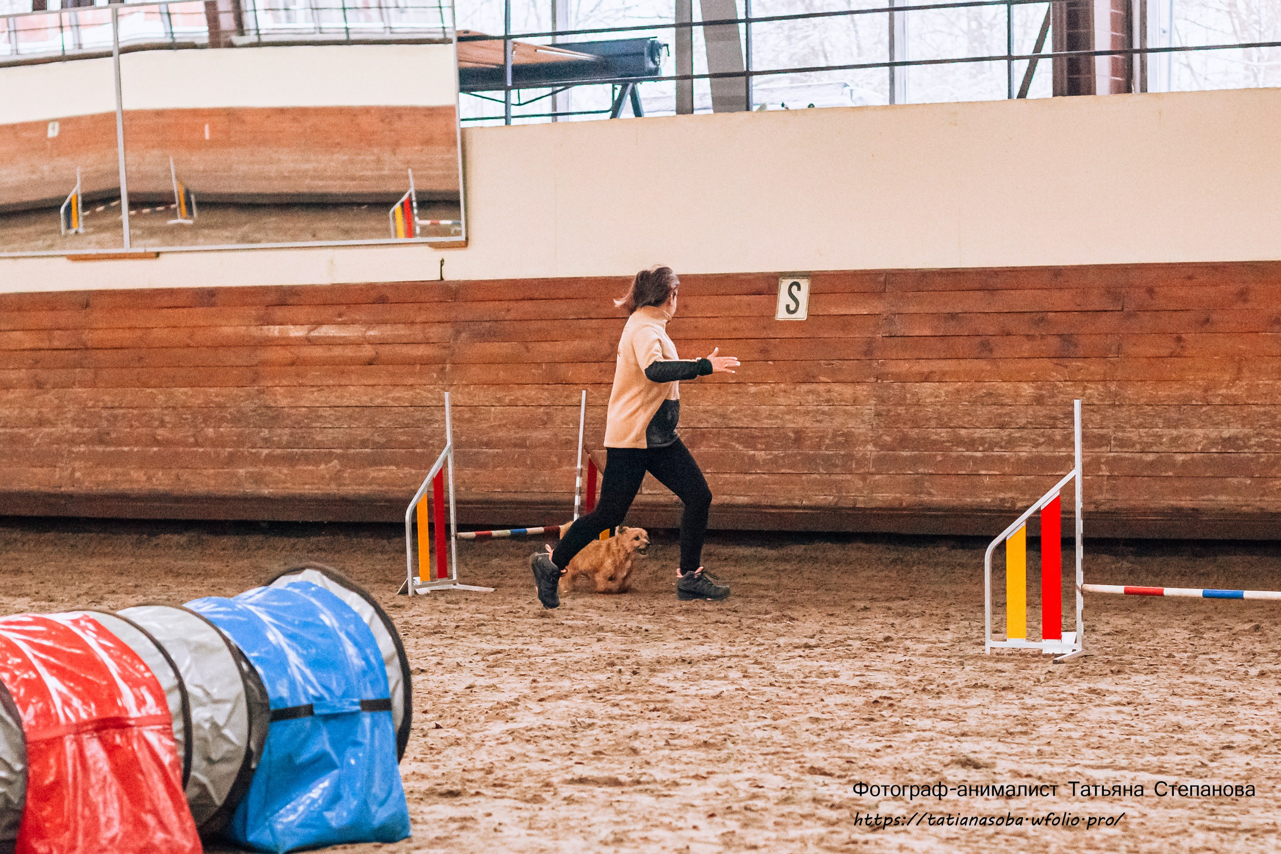 Соревнования по Аджилити 25.02.2024. Фотограф-анималист Татьяна Степанова