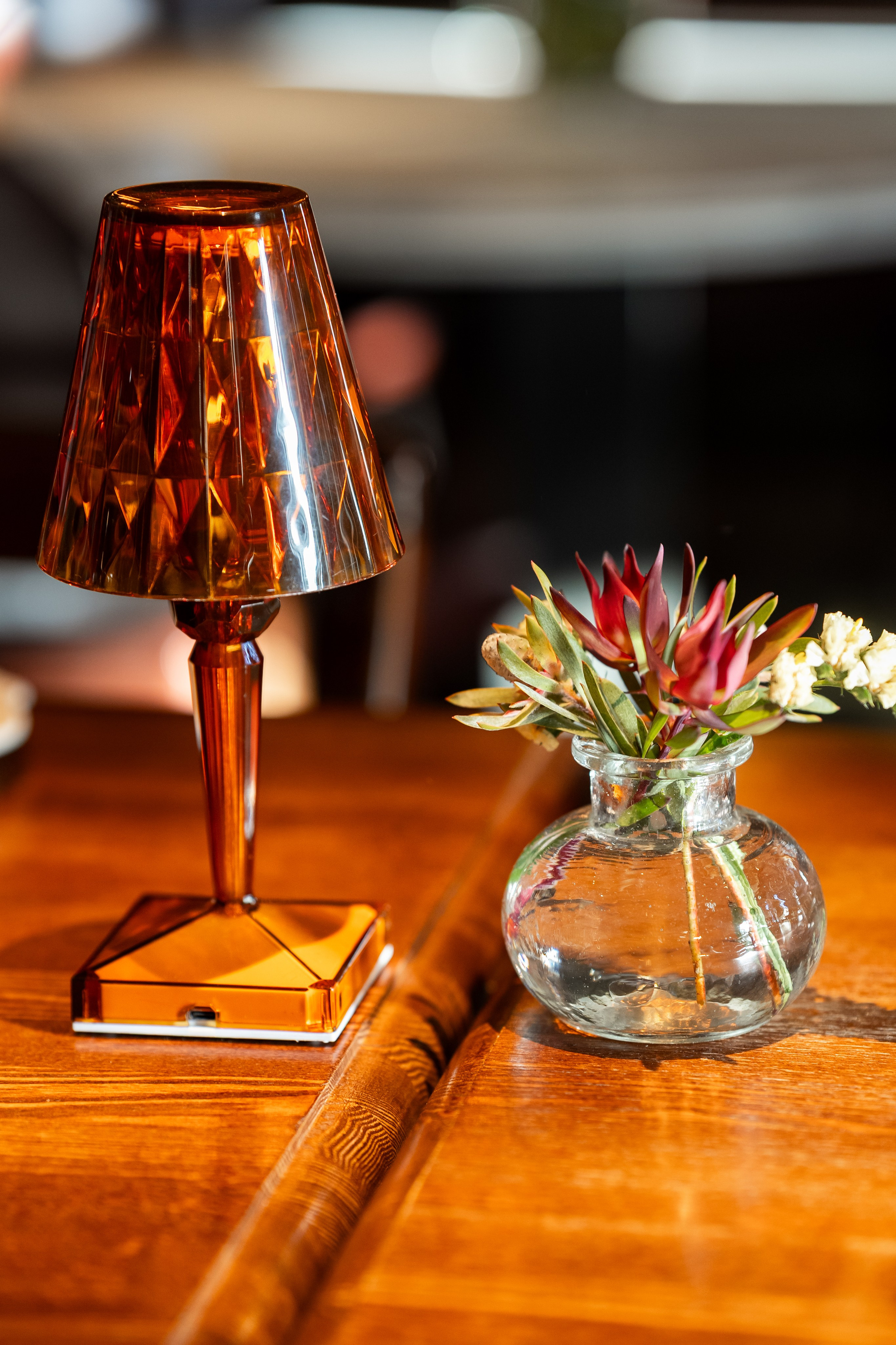 Le Pigeon — Русские сезоны и Балет «Дягилев». Фотограф Никита Комаров