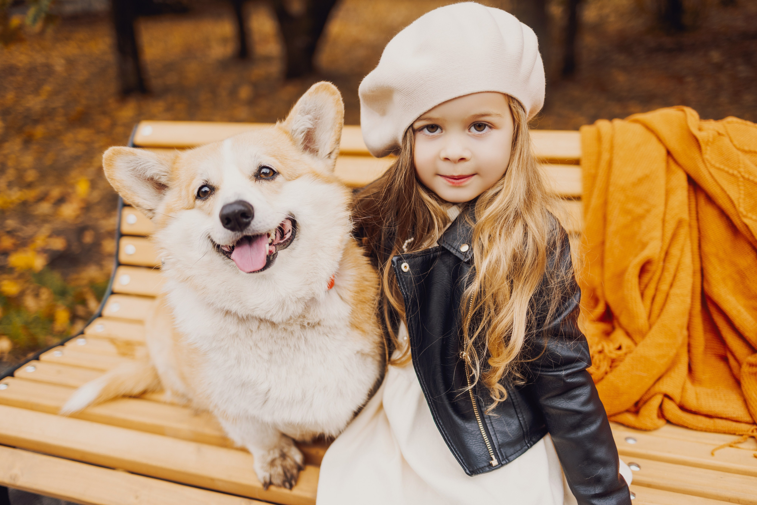 Золотая осень с корги. Свадебный и семейный фотограф в Рязани Датская Ксения