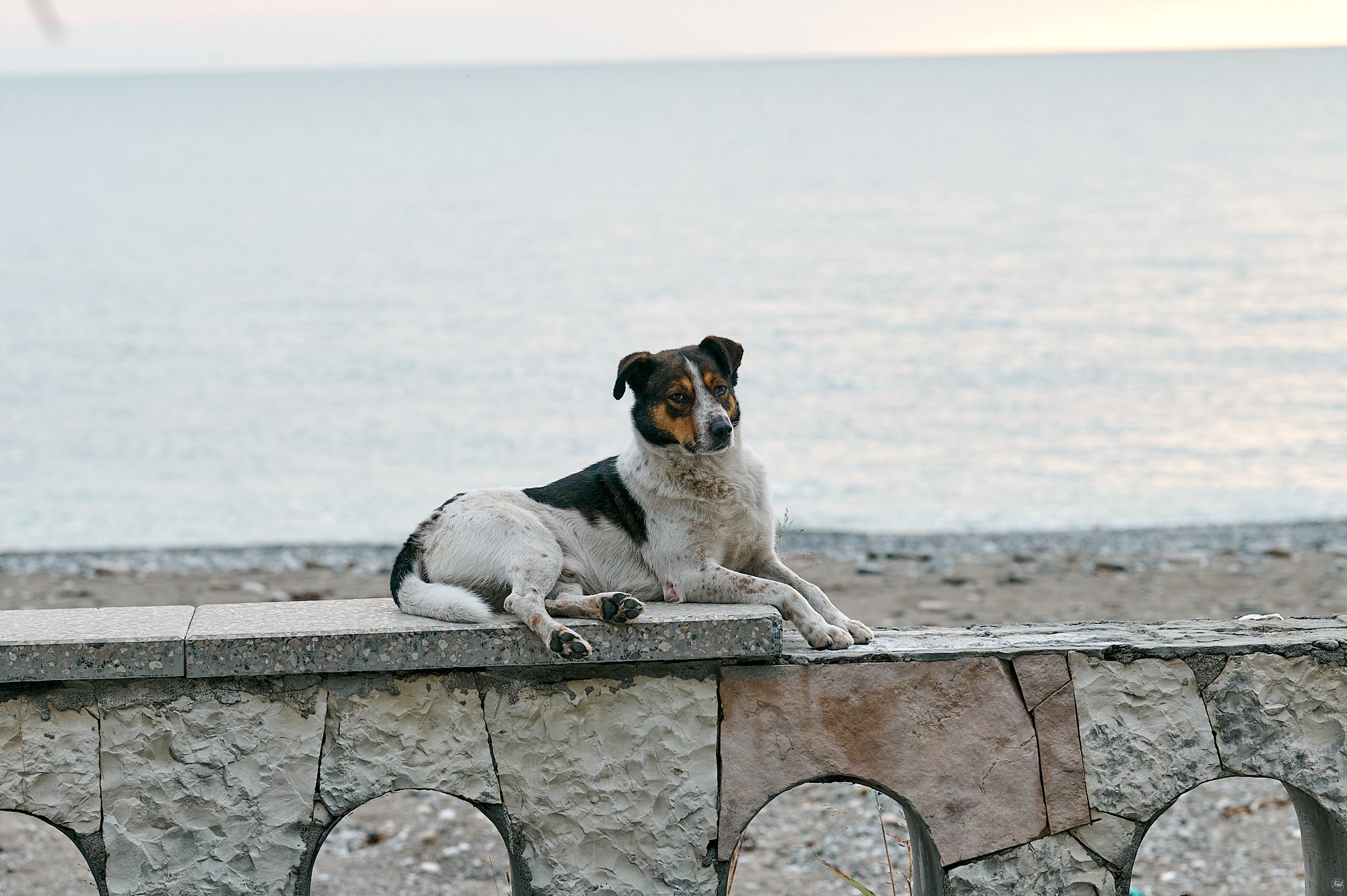 Гагра, Абхазия. Декабрь 2024. Фотографии отовсюду и обо всем