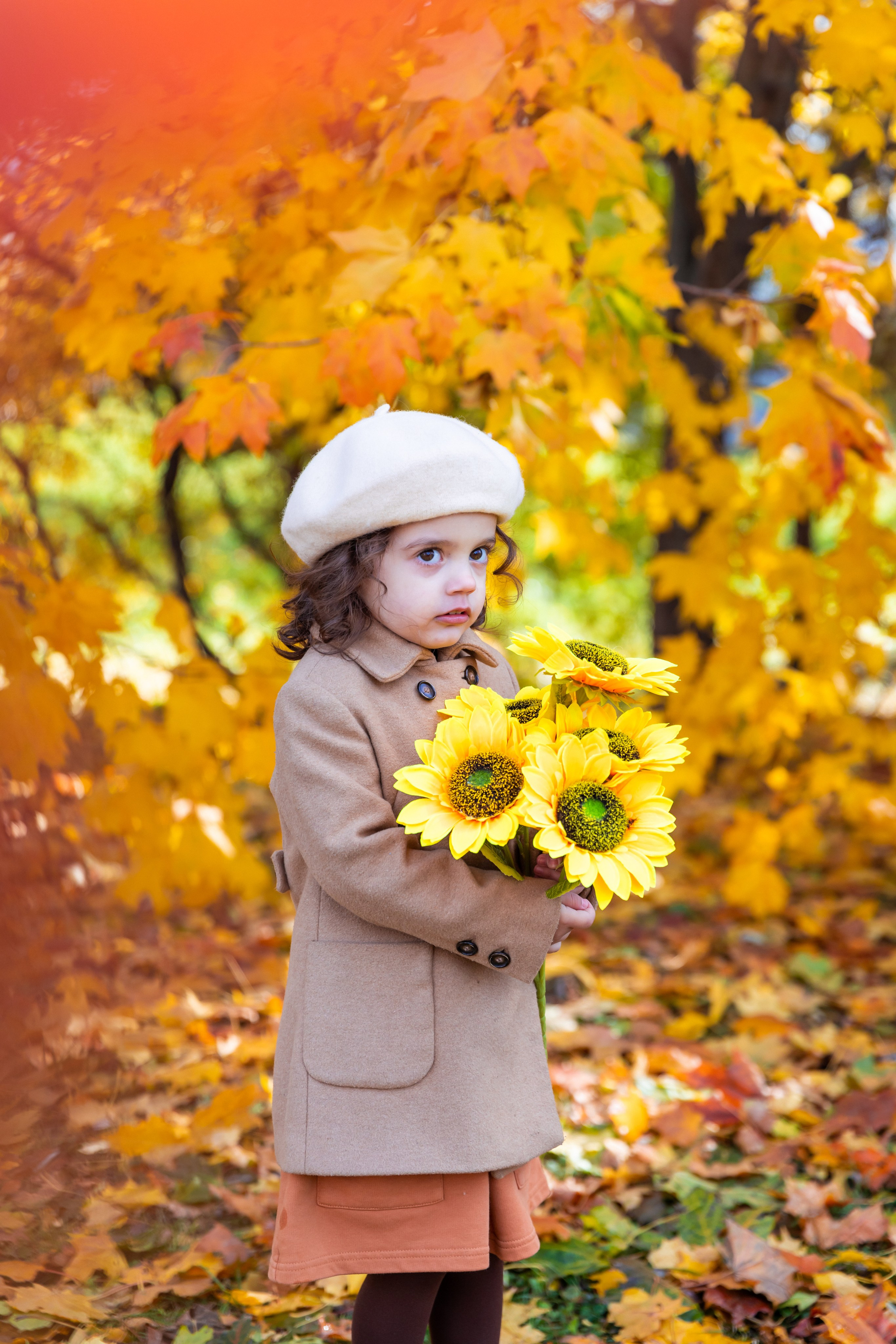 Осень в парке. Фотограф и Видеограф в Москве Дарья Арсентьева