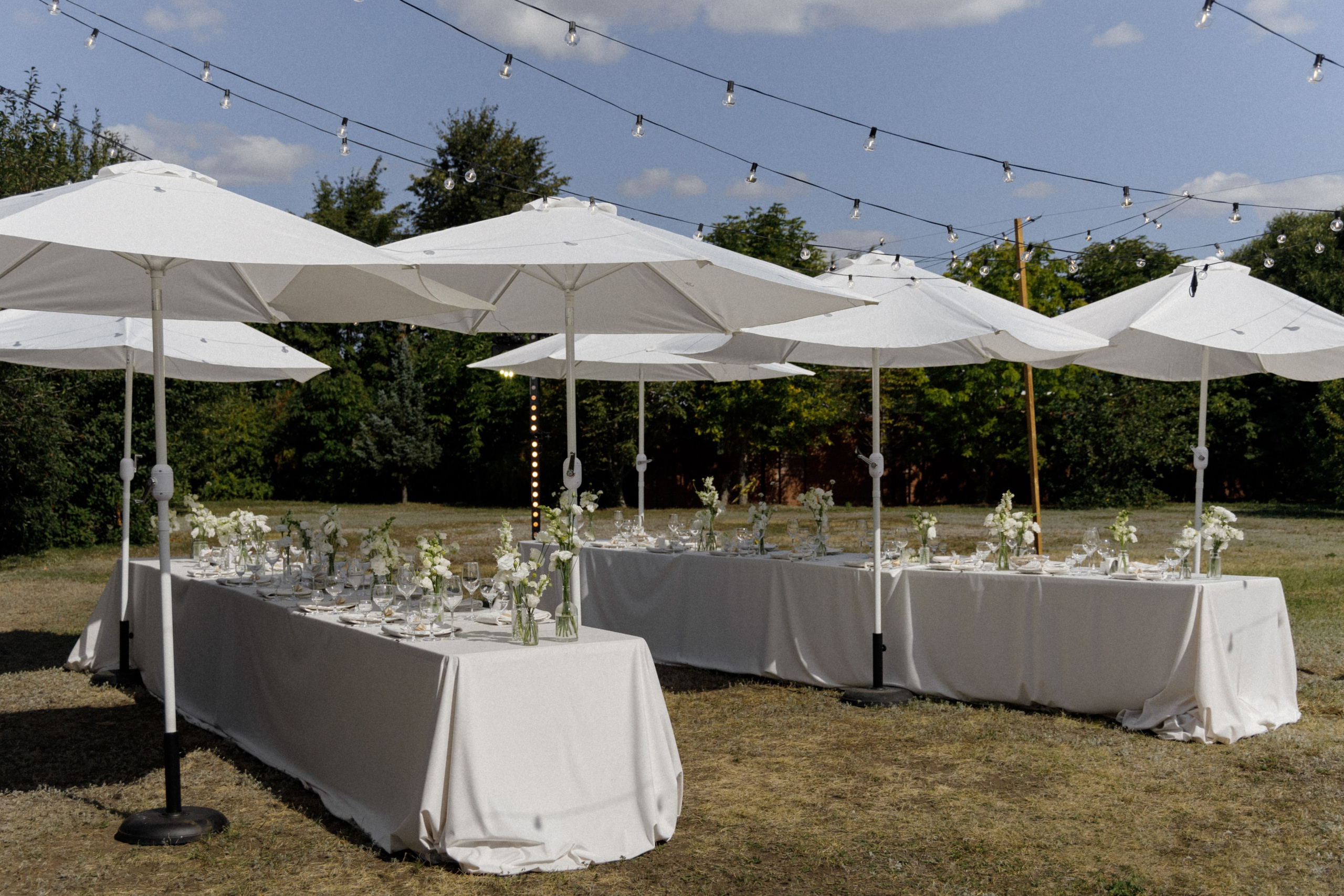 Станислав и Анастасия. Свадебный организатор в Тольятти | Самаре