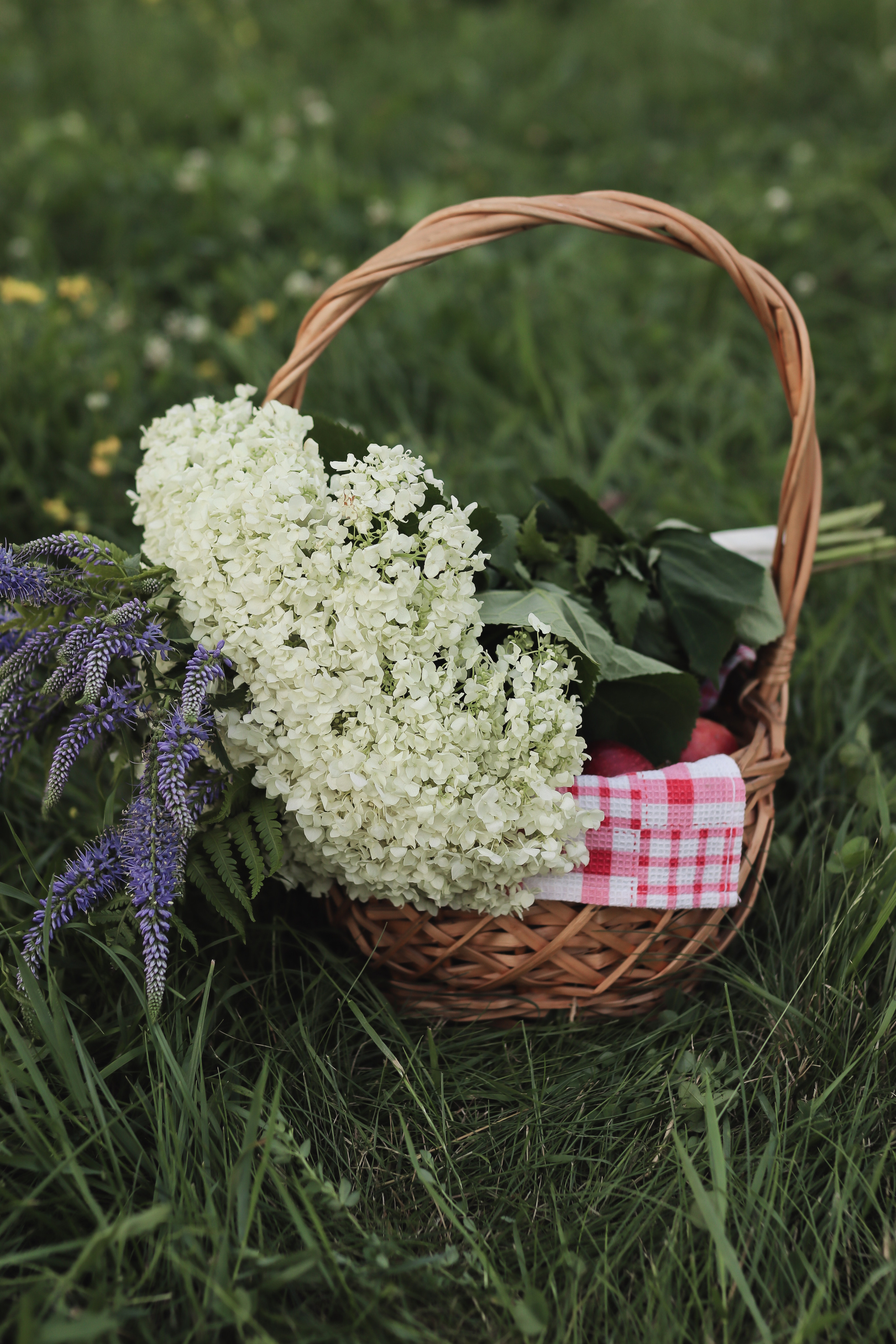 16.07.2021. Фотограф в Белгороде|Юлия oohphotojulii|Семейный и персональный фотограф