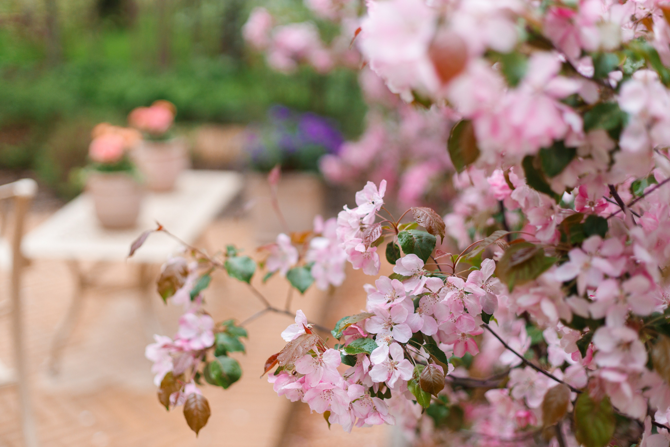 День рождения Полечки. Репортажный фотограф Борис Геер