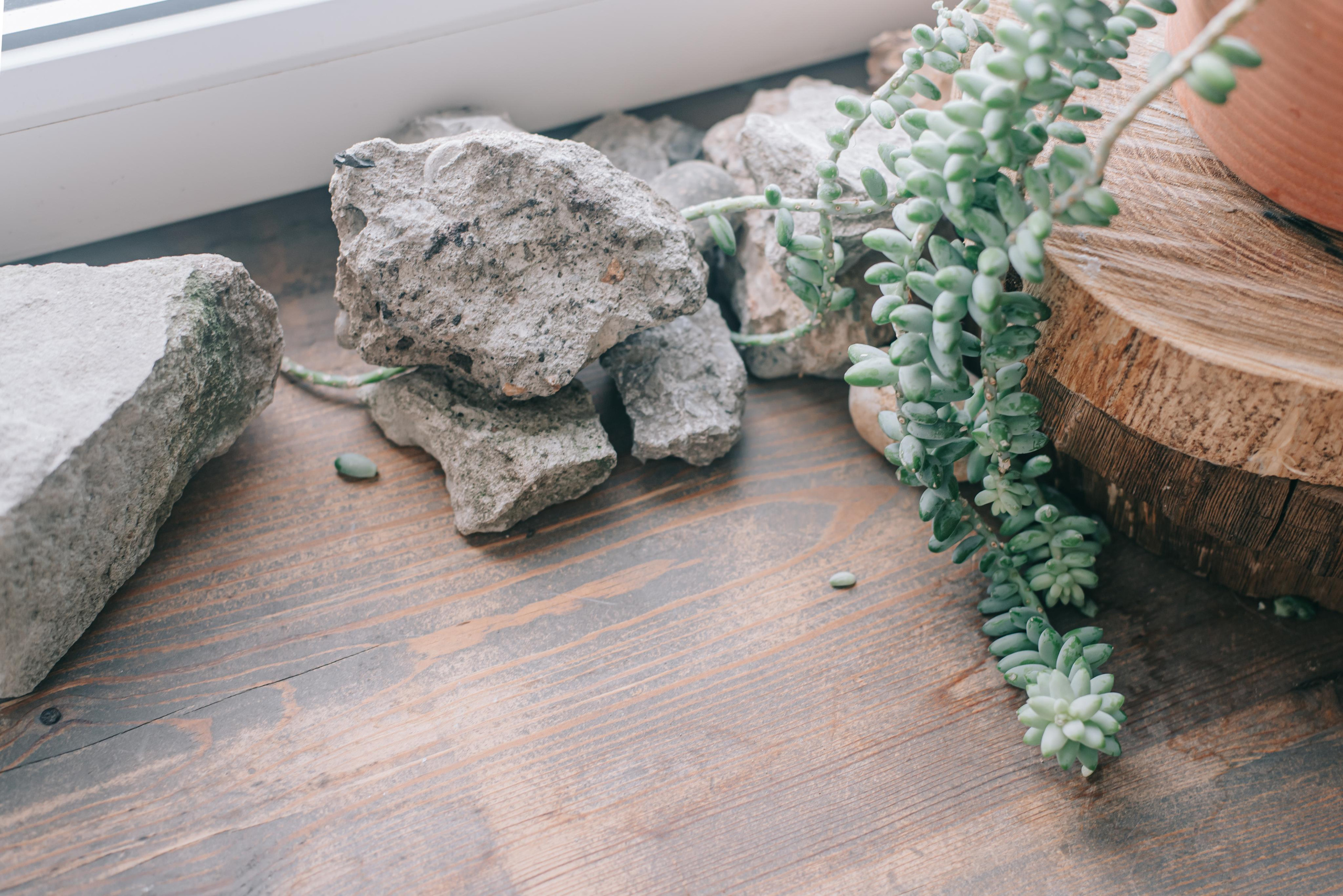 Один годик Саше. Фотограф в Краснодаре Зеленкина Дарья