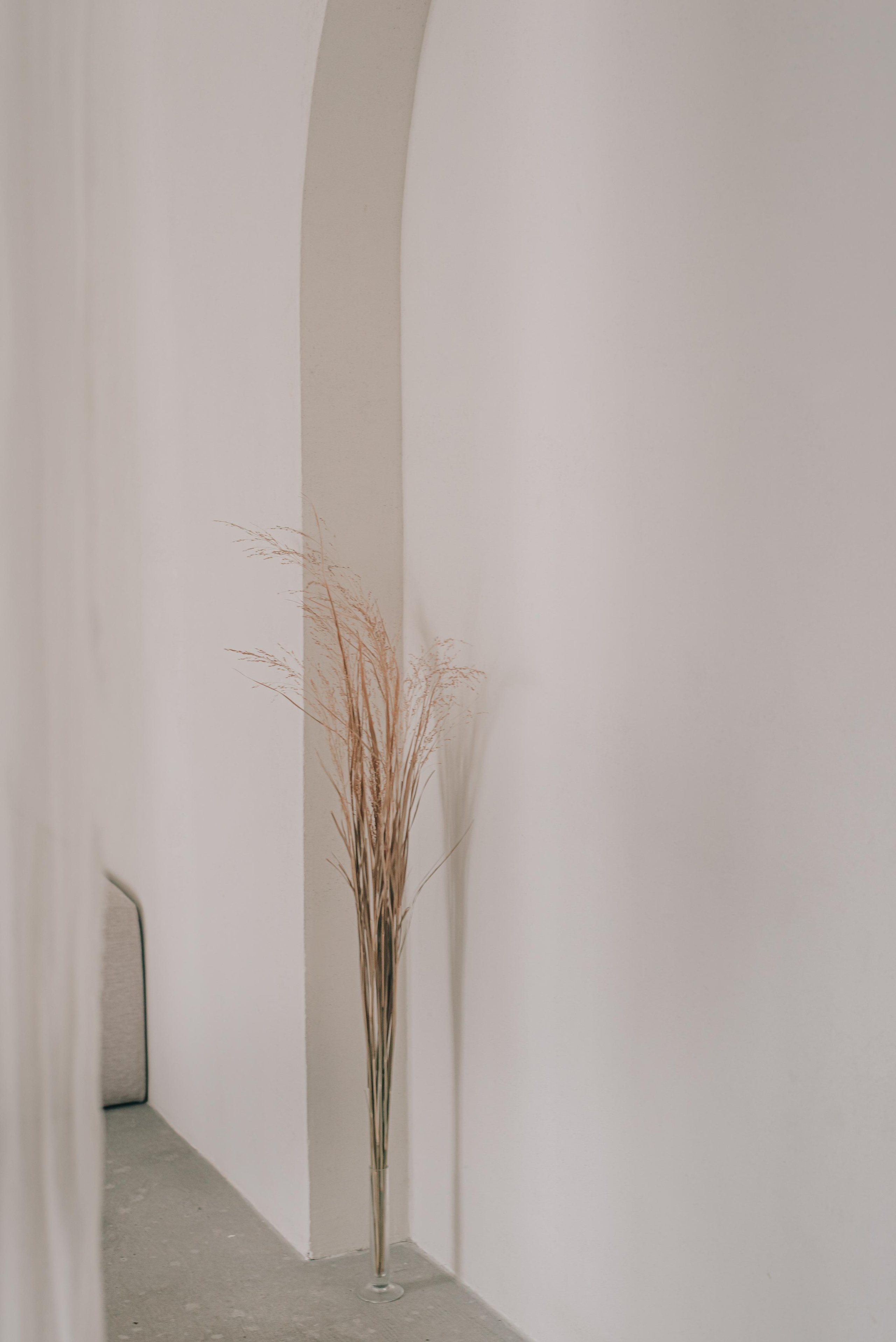 Альбина и Валерий. Фотограф в Краснодаре Зеленкина Дарья