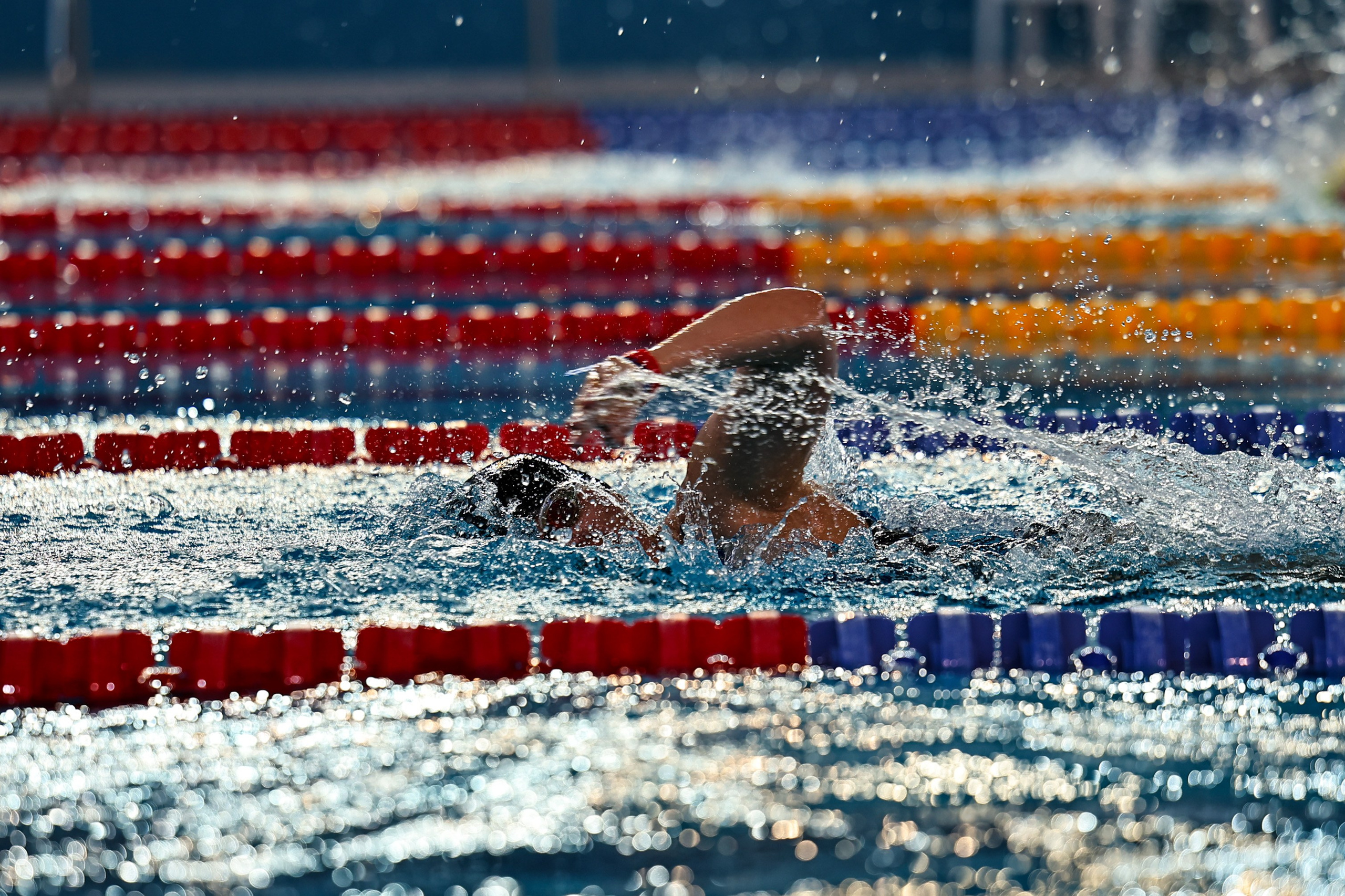 ДЗМ Плавание 2026. Фототерапевт Ева Бунеева