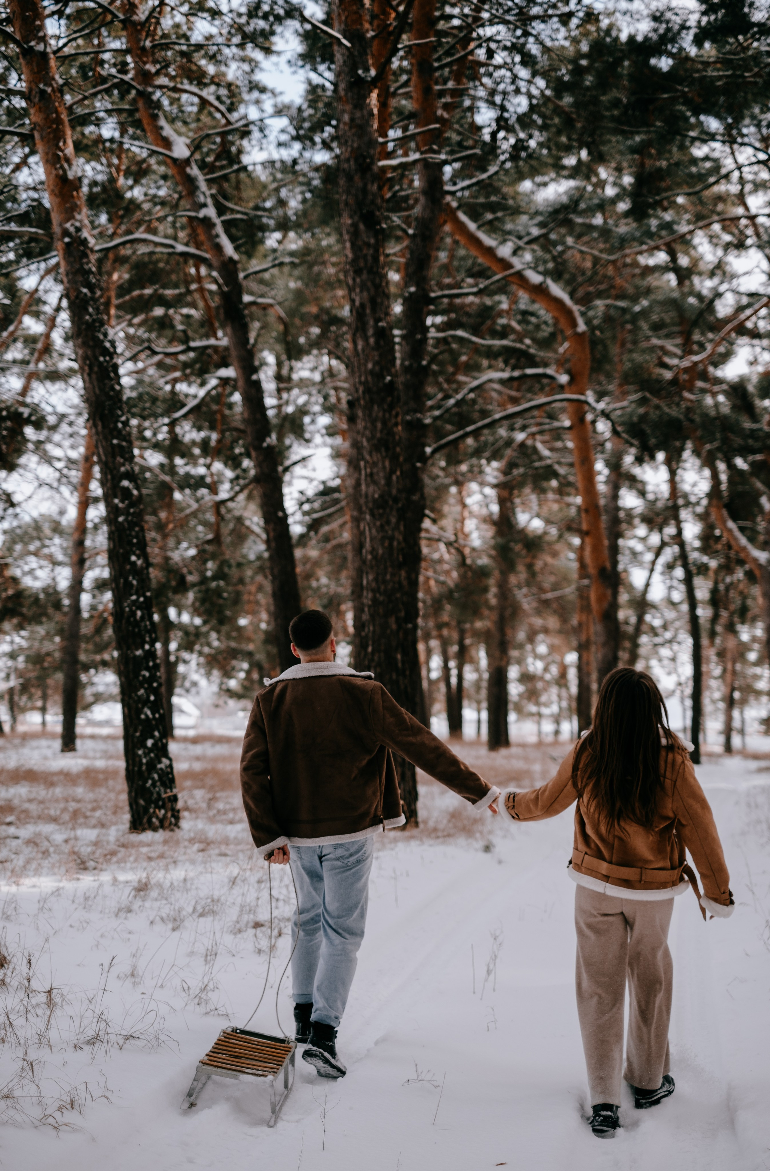 Звенит январская вьюга!. Photographer Victoria Slavnova