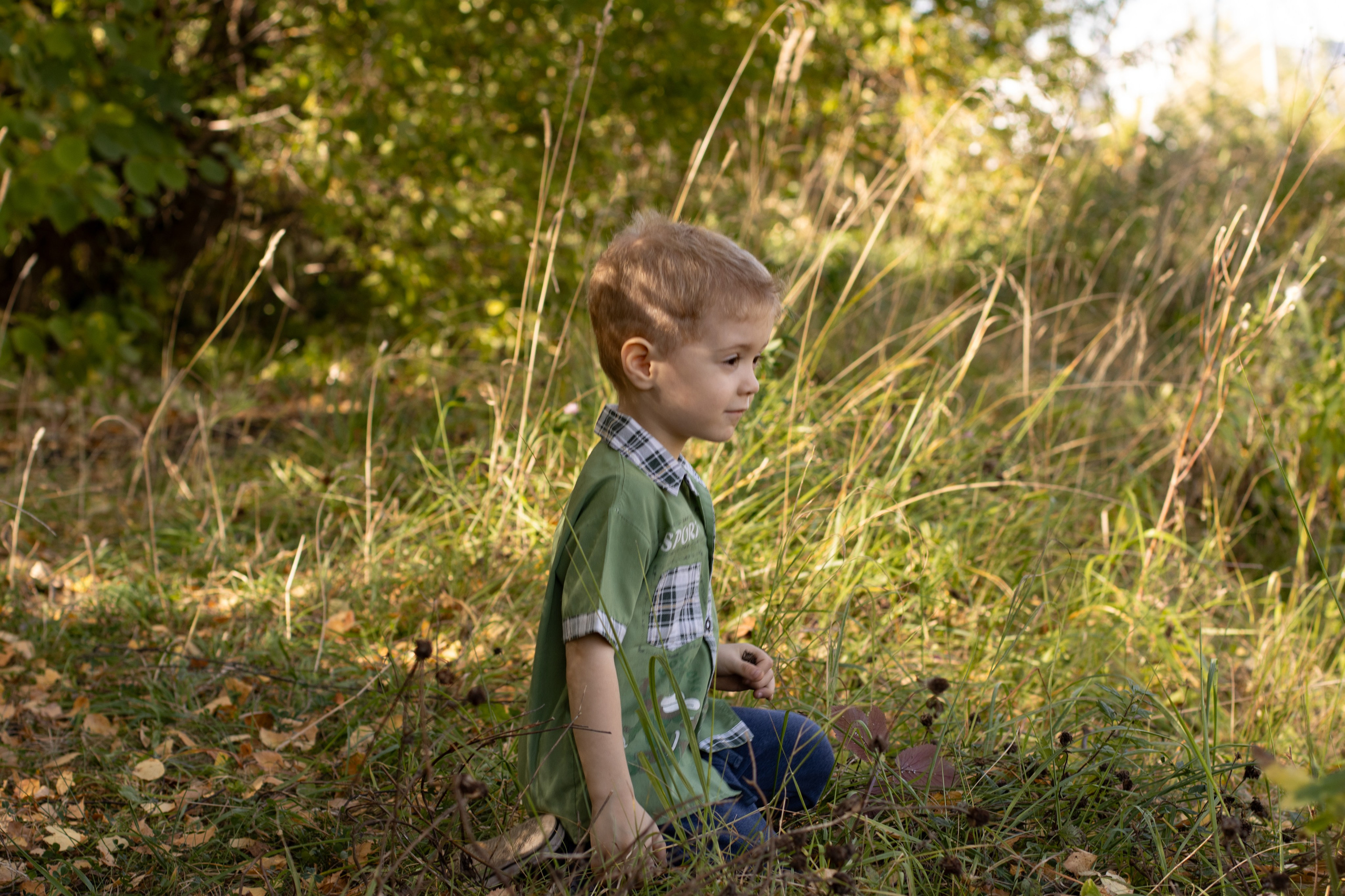 Саша и Маша лесная прогулка. Главная