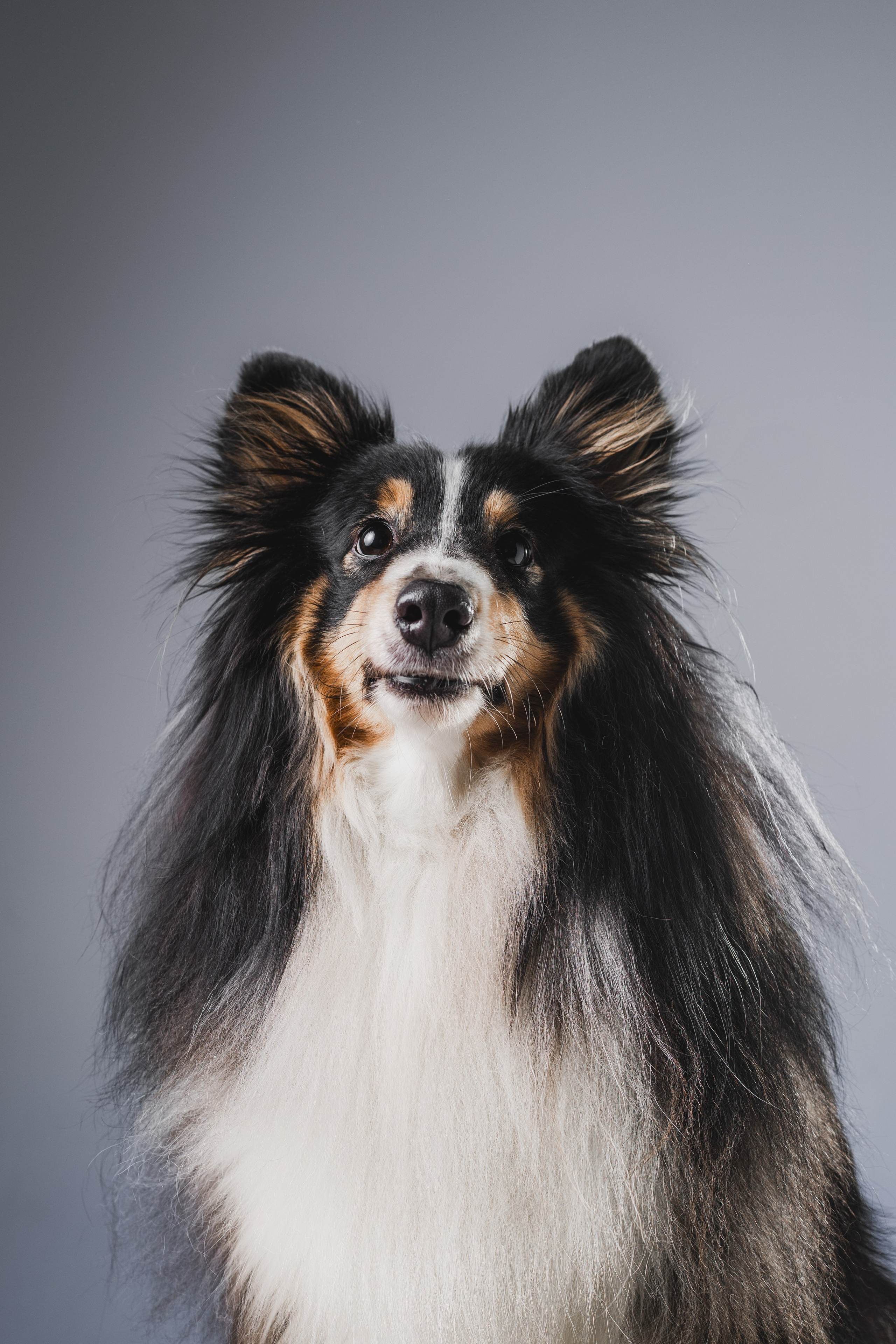 Воркшоп по импульсному свету