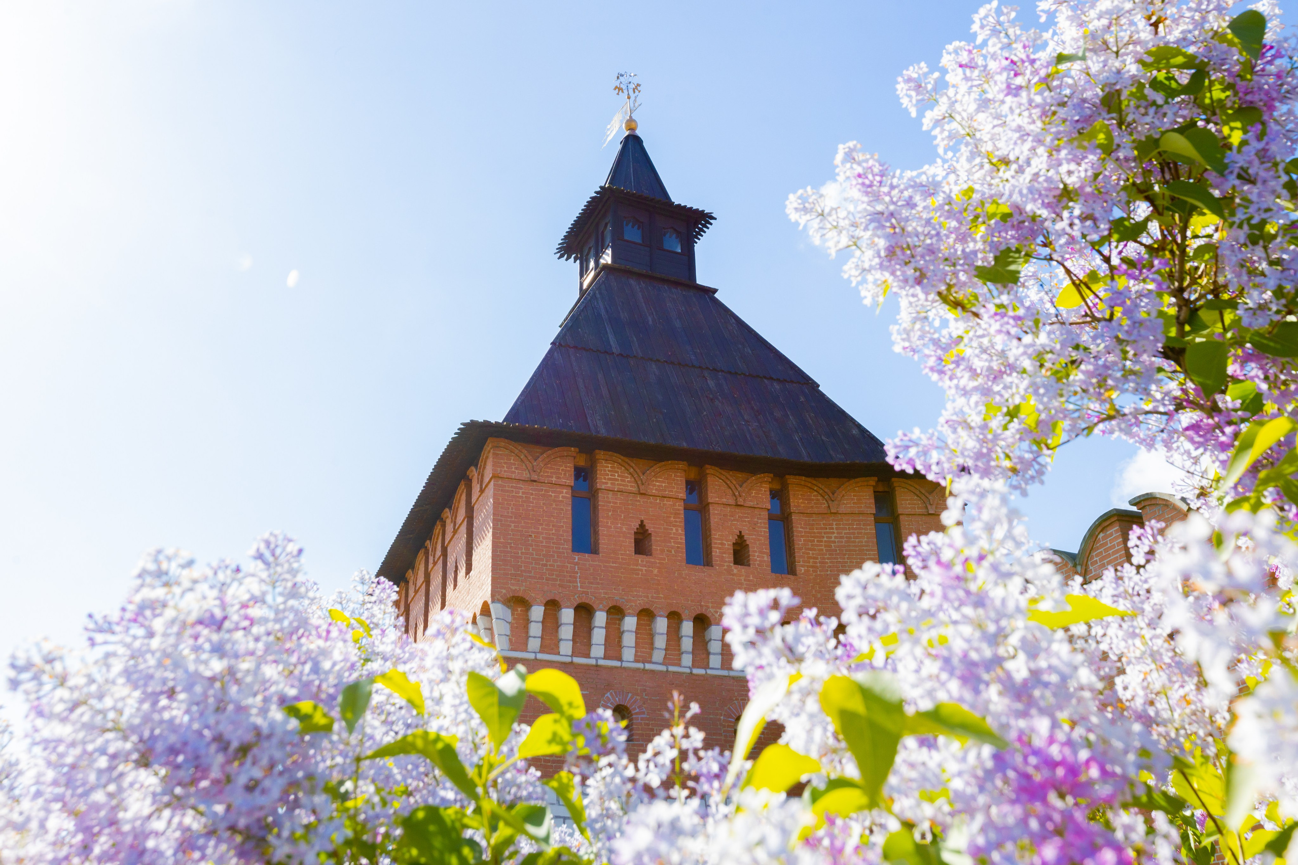 Весеннее цветение в Туле. Фотограф в Туле Крупский АнДРей. Фотостудия «КАДР71» в Туле